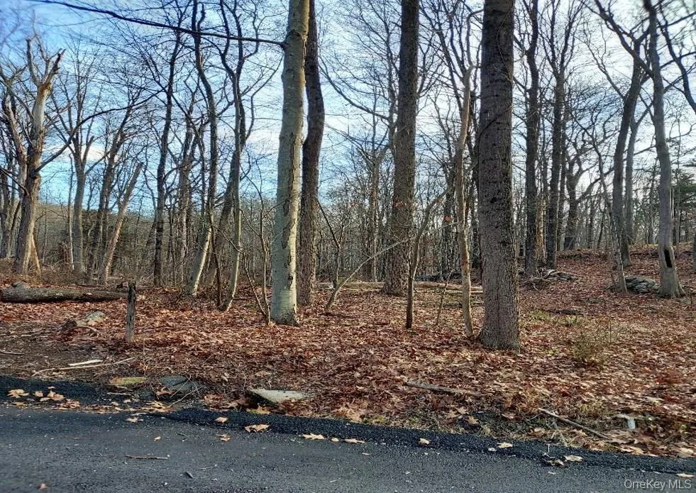 Laurie Lane, Lewisboro, NY, ,Land,For Rent,Laurie,0,000152 Laurie Lane, Lewisboro, NY, ,Land,For Rent,Laurie,0,000152