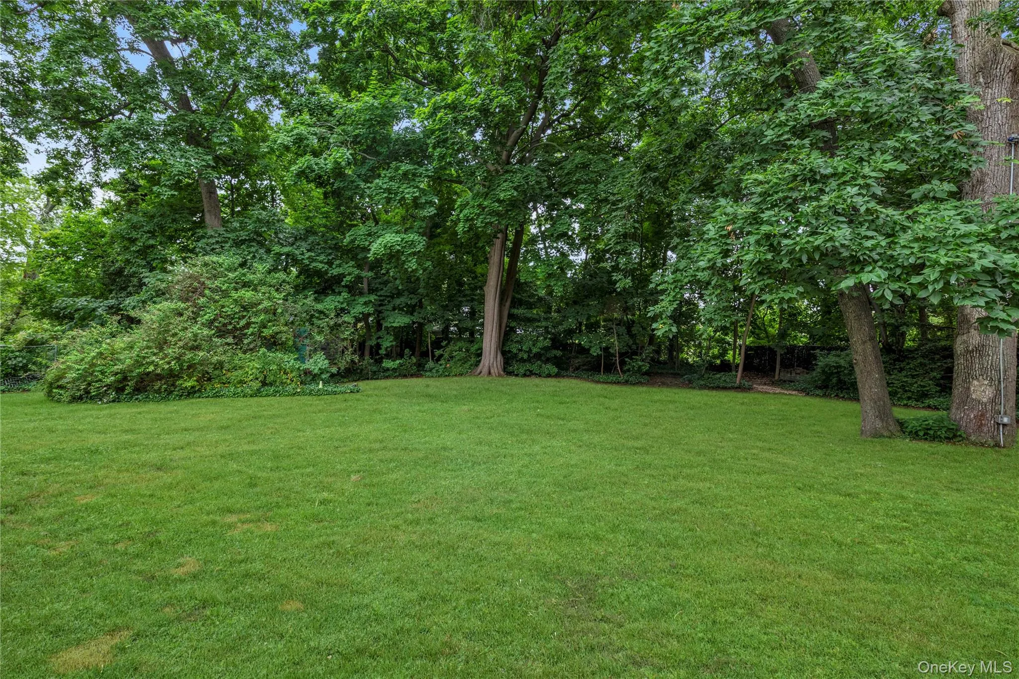 PART OF BACK YARD PART OF BACK YARD