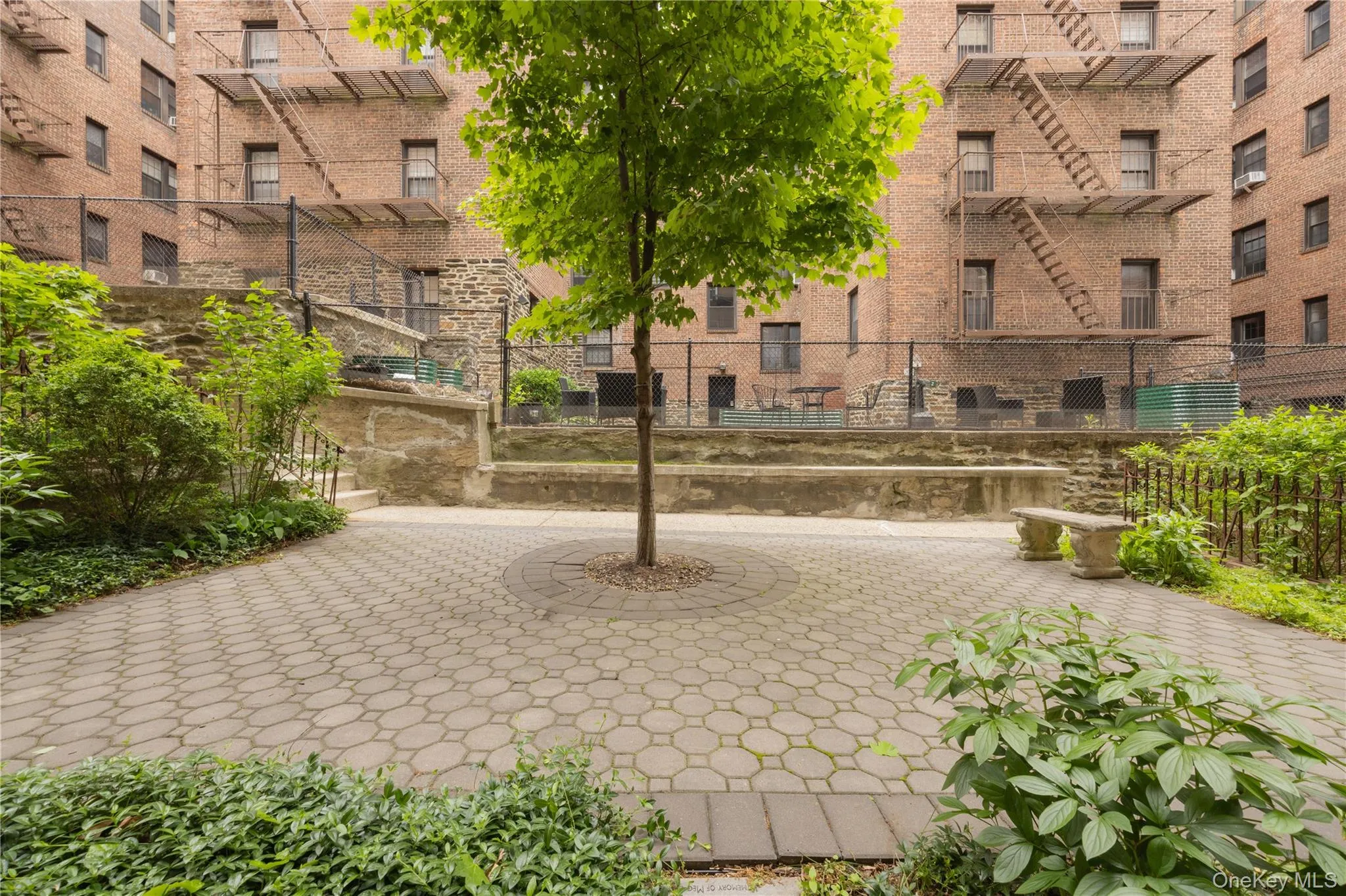 60 Broad Street, Mount Vernon, NY, 1 Bedroom Bedrooms, 3 Rooms Rooms,1 BathroomBathrooms,Residential Sale,For Rent,Broad,0,000187 60 Broad Street, Mount Vernon, NY, 1 Bedroom Bedrooms, 3 Rooms Rooms,1 BathroomBathrooms,Residential Sale,For Rent,Broad,0,000187