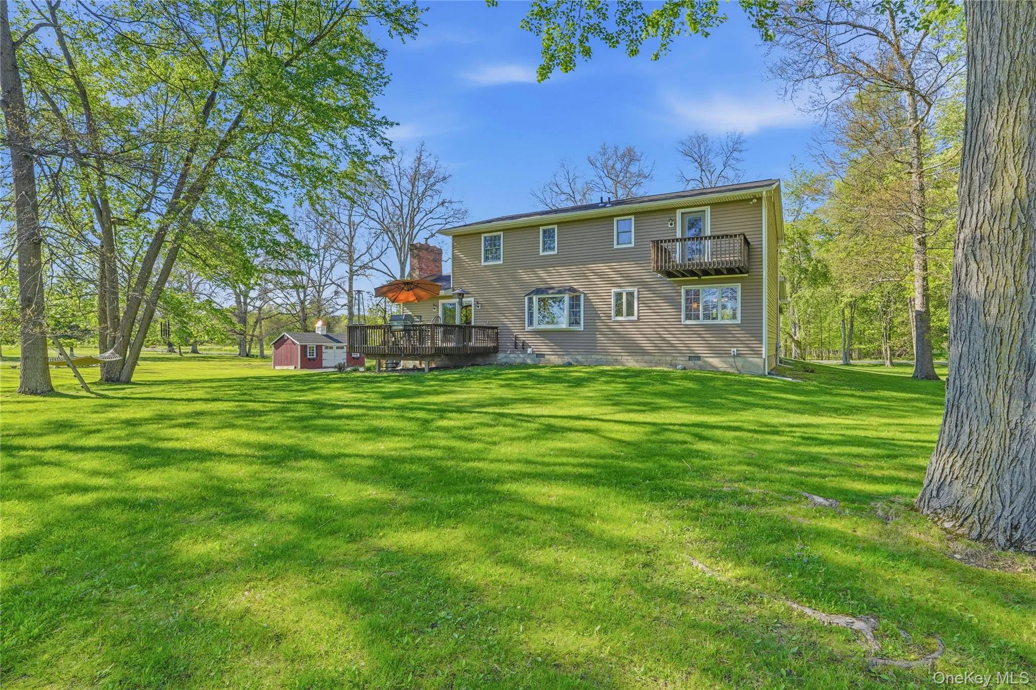 Spacious and level backyard Spacious and level backyard