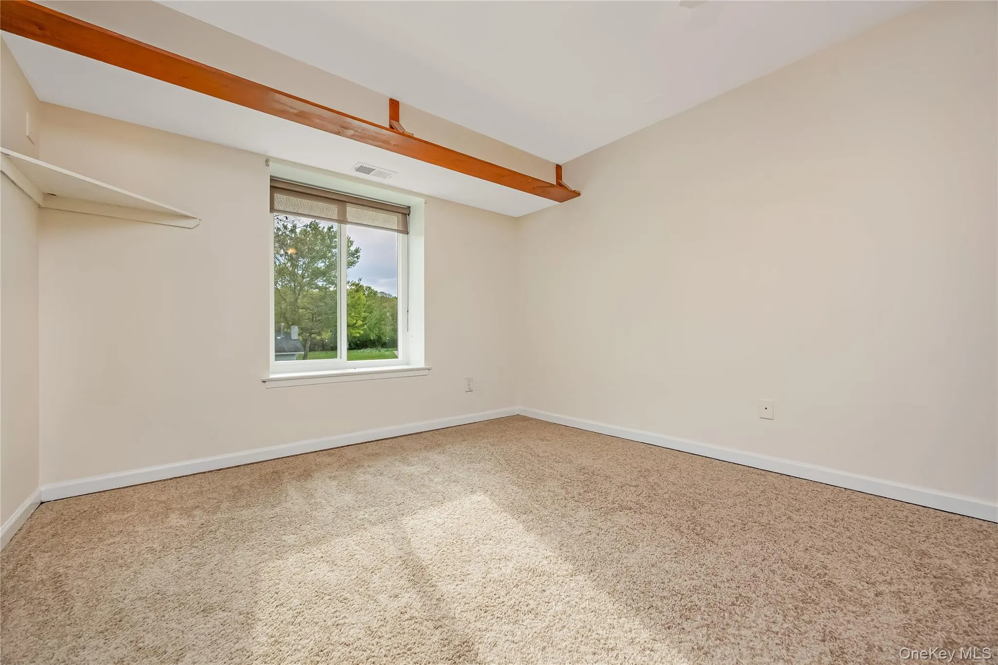Carpeted room with a double-hung window with a spacious closet Carpeted room with a double-hung window with a spacious closet