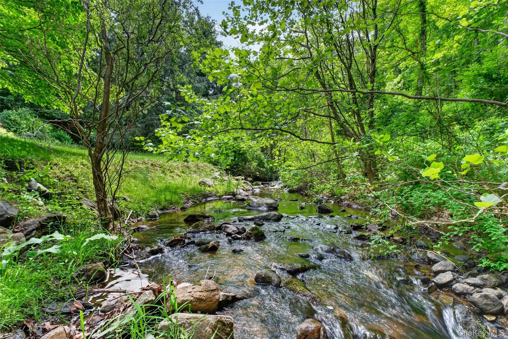 Scenic Crook Creek at bottom of rear yard Scenic Crook Creek at bottom of rear yard