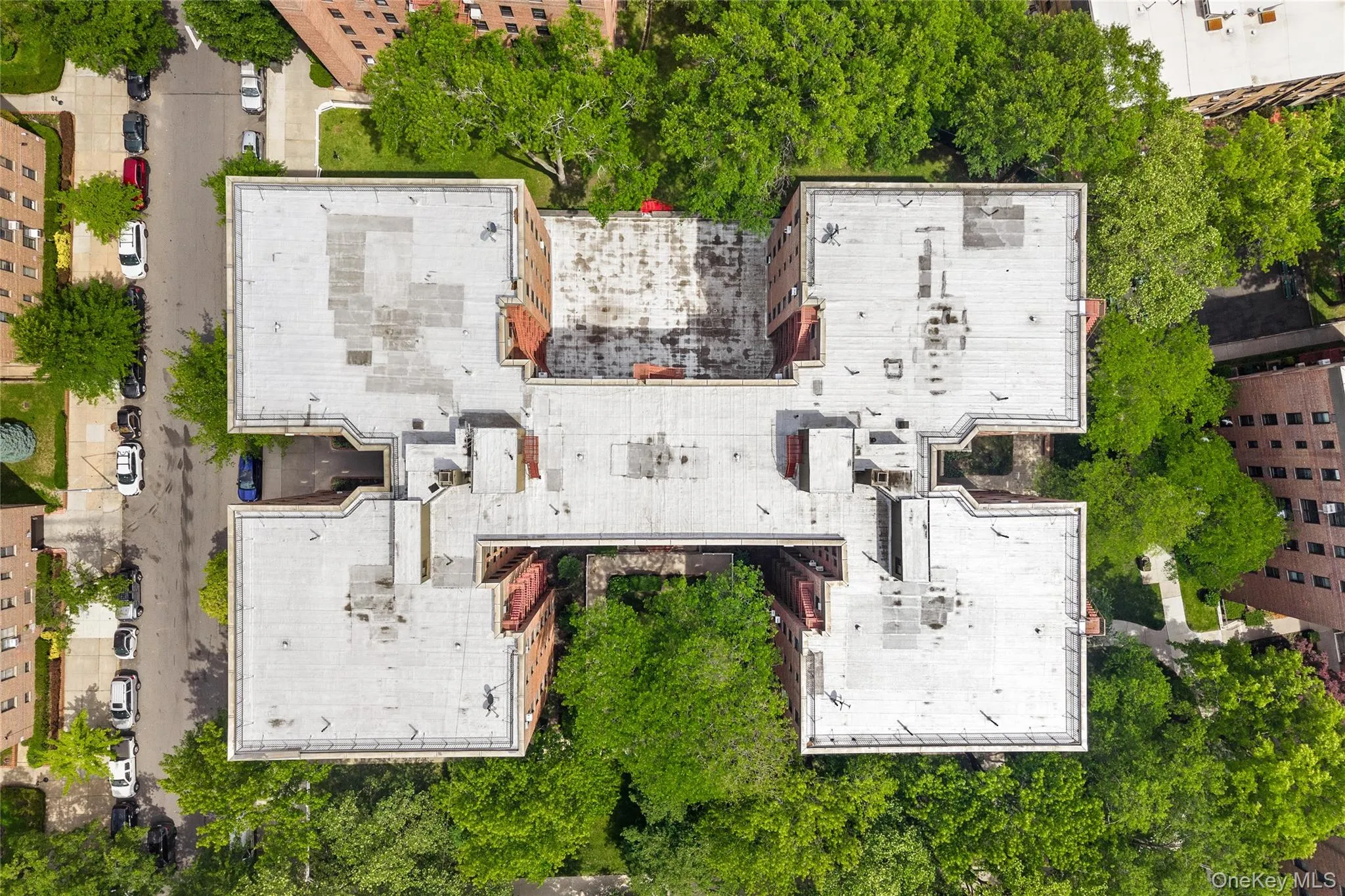 83-20 98 Street, New York, NY, 2 Bedrooms Bedrooms, 4 Rooms Rooms,1 BathroomBathrooms,Residential,For Rent,98,0,1000273 83-20 98 Street, New York, NY, 2 Bedrooms Bedrooms, 4 Rooms Rooms,1 BathroomBathrooms,Residential,For Rent,98,0,1000273