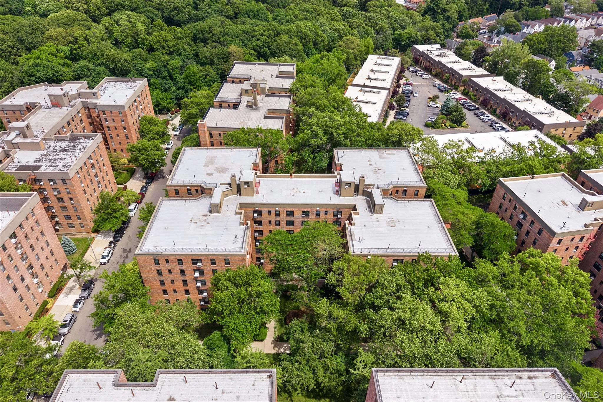 83-20 98 Street, New York, NY, 2 Bedrooms Bedrooms, 4 Rooms Rooms,1 BathroomBathrooms,Residential,For Rent,98,0,1000273 83-20 98 Street, New York, NY, 2 Bedrooms Bedrooms, 4 Rooms Rooms,1 BathroomBathrooms,Residential,For Rent,98,0,1000273