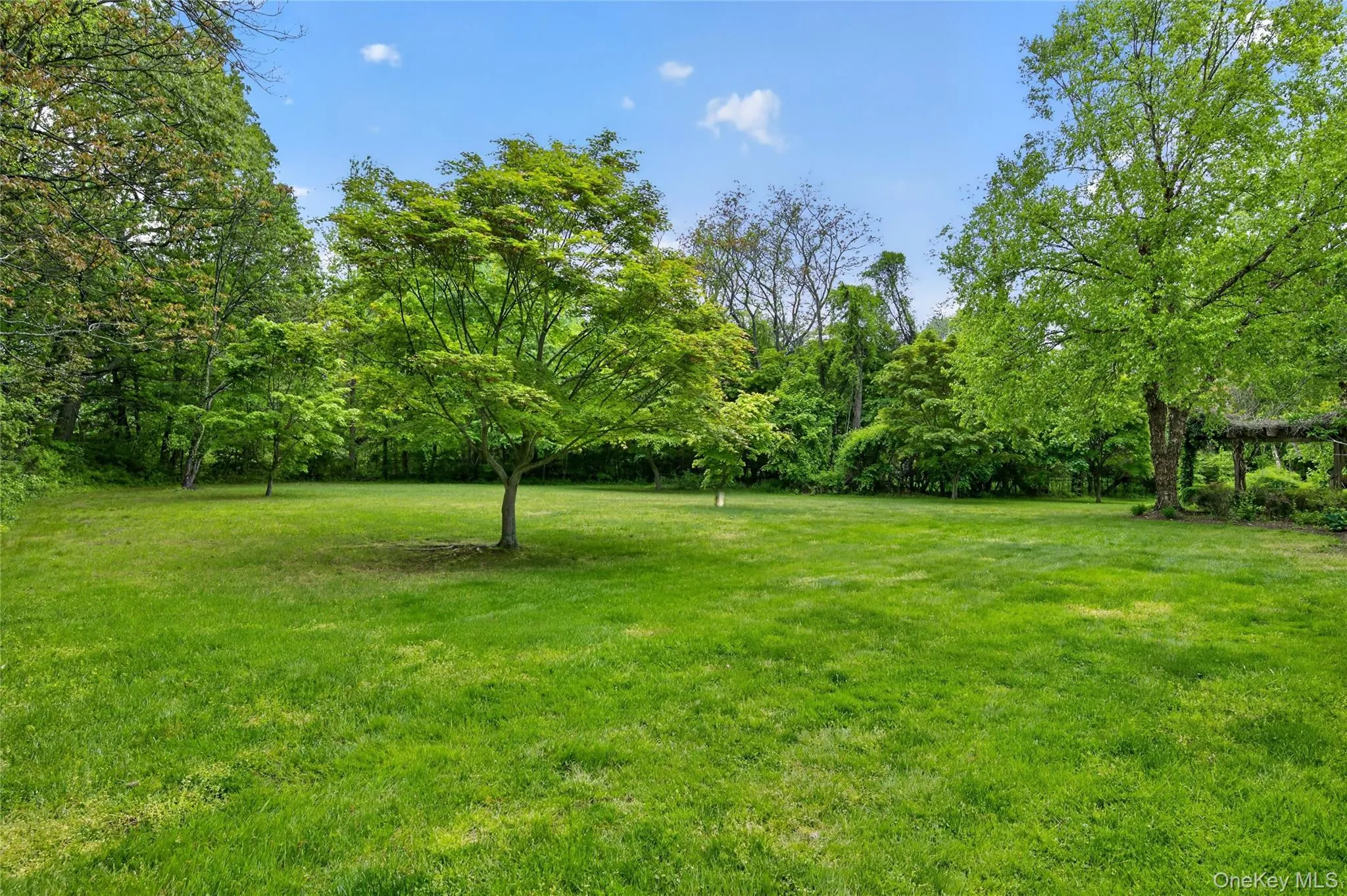 1 Springwood Path, Oyster Bay, NY, 6 Bedrooms Bedrooms, 18 Rooms Rooms,5 BathroomsBathrooms,Residential,For Rent,Springwood,0,1000303 1 Springwood Path, Oyster Bay, NY, 6 Bedrooms Bedrooms, 18 Rooms Rooms,5 BathroomsBathrooms,Residential,For Rent,Springwood,0,1000303