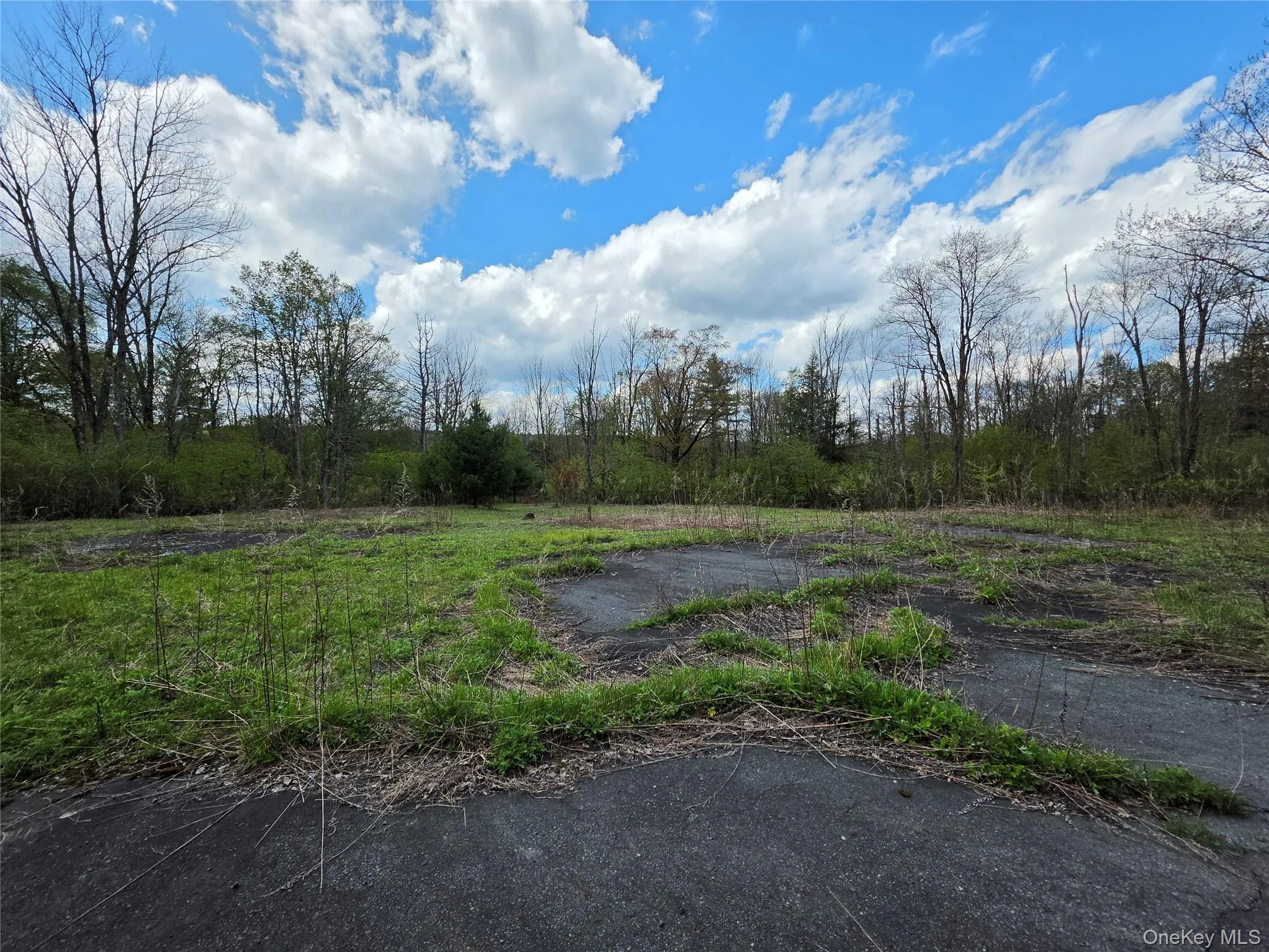 832 State Route 17B, Thompson, NY, 3 Bedrooms Bedrooms, 6 Rooms Rooms,2 BathroomsBathrooms,Residential Sale,For Rent,State Route 17B,0,1000304 832 State Route 17B, Thompson, NY, 3 Bedrooms Bedrooms, 6 Rooms Rooms,2 BathroomsBathrooms,Residential Sale,For Rent,State Route 17B,0,1000304