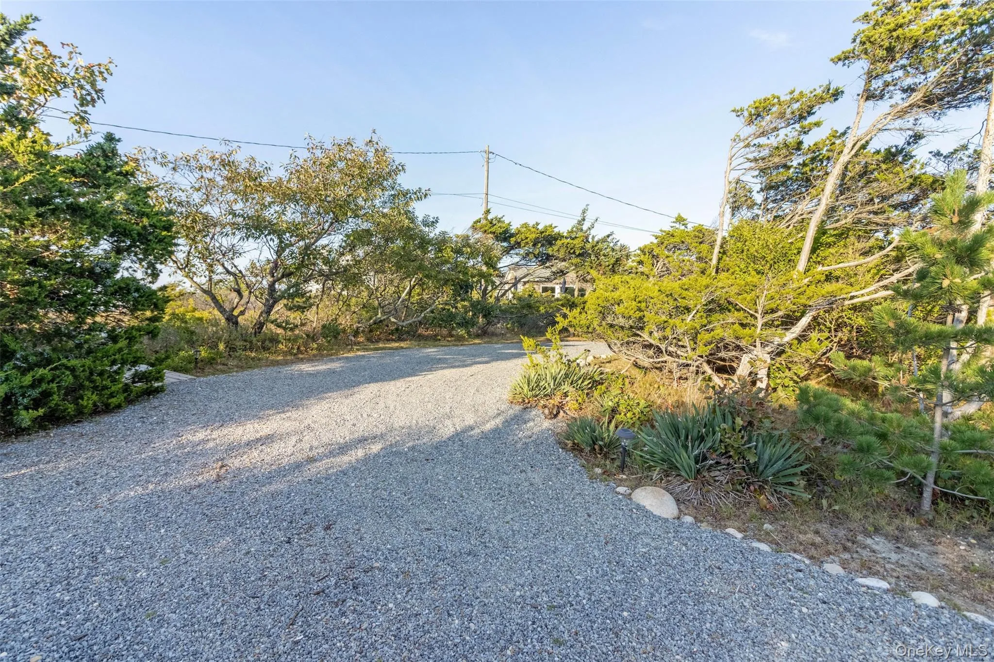 825 Sea Drive, Southold, NY, 2 Bedrooms Bedrooms, 5 Rooms Rooms,1 BathroomBathrooms,Residential,For Rent,Sea,0,1000319 825 Sea Drive, Southold, NY, 2 Bedrooms Bedrooms, 5 Rooms Rooms,1 BathroomBathrooms,Residential,For Rent,Sea,0,1000319