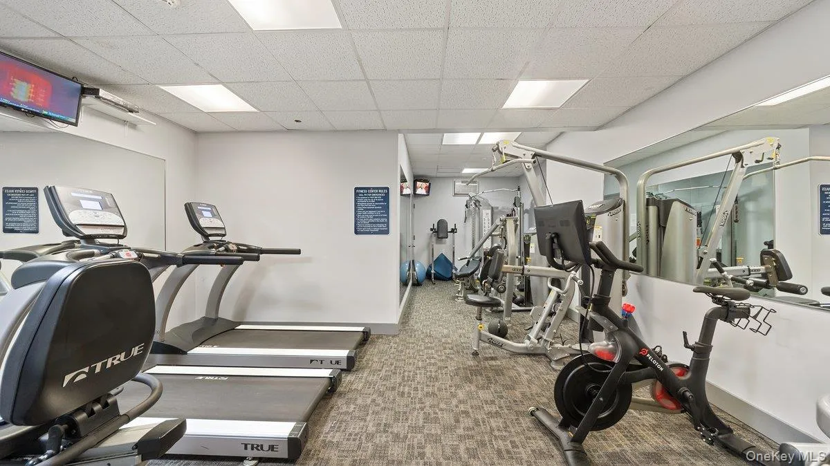 23 Water Grant Street, Yonkers, NY, 1 Bedroom Bedrooms, 3 Rooms Rooms,1 BathroomBathrooms,Residential,For Rent,Water Grant,0,1000323 23 Water Grant Street, Yonkers, NY, 1 Bedroom Bedrooms, 3 Rooms Rooms,1 BathroomBathrooms,Residential,For Rent,Water Grant,0,1000323