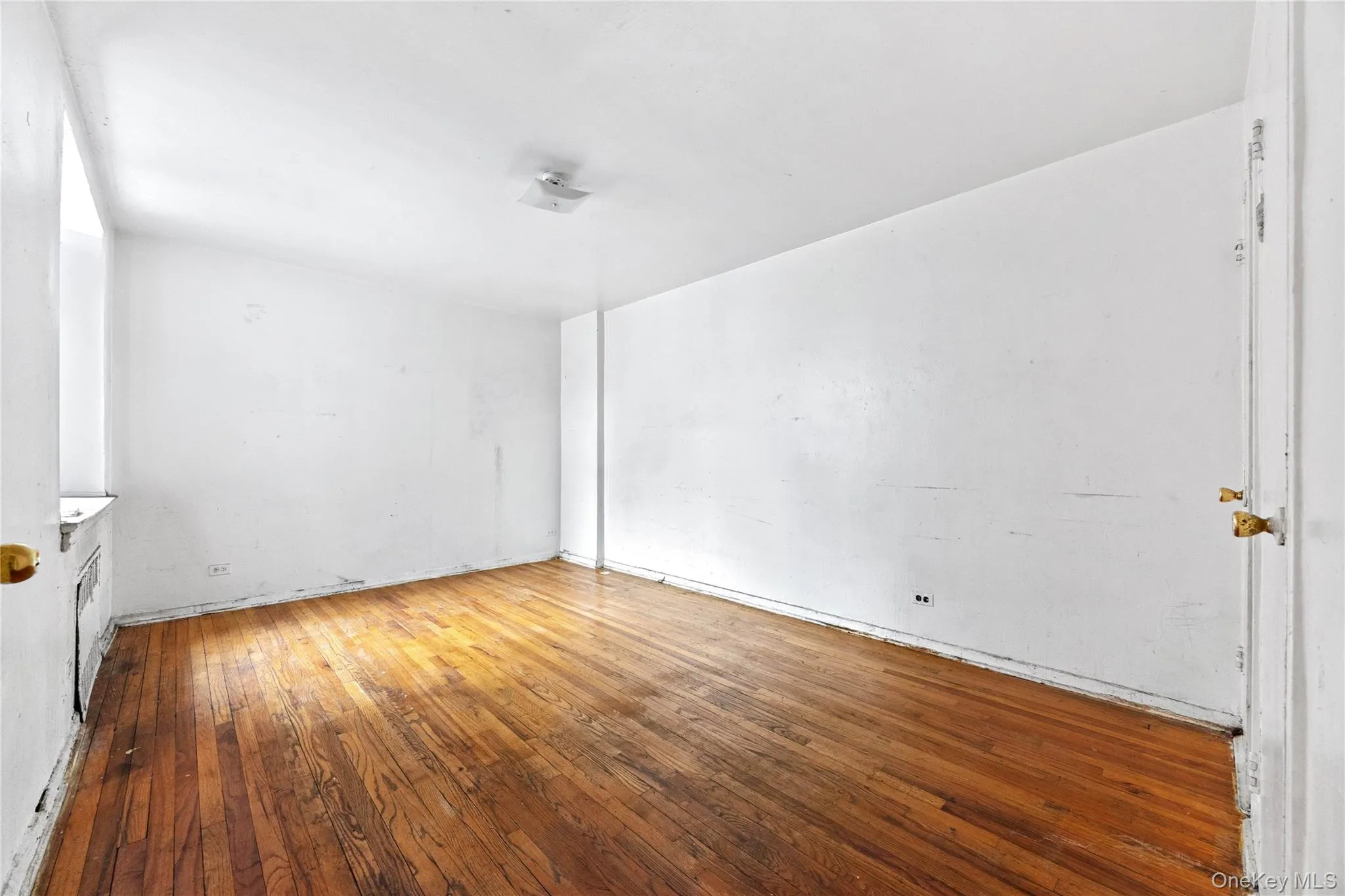 2830 Briggs Avenue, New York, NY, 2 Bedrooms Bedrooms, 5 Rooms Rooms,1 BathroomBathrooms,Residential Sale,For Rent,Briggs,0,1000341 2830 Briggs Avenue, New York, NY, 2 Bedrooms Bedrooms, 5 Rooms Rooms,1 BathroomBathrooms,Residential Sale,For Rent,Briggs,0,1000341