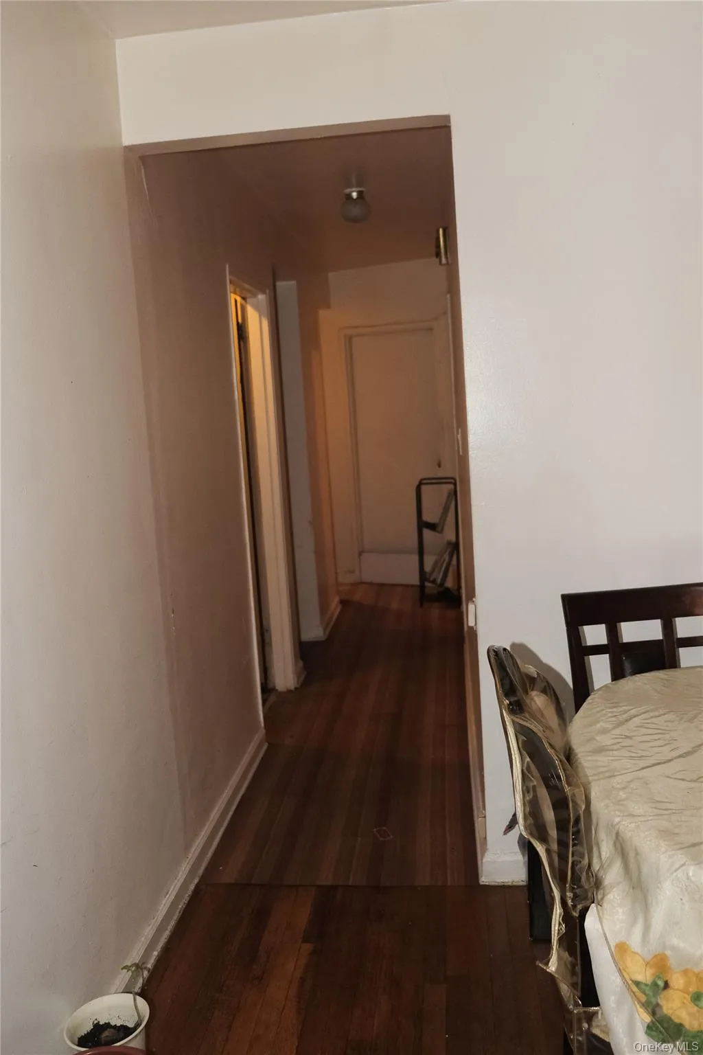 2061 60th Street, New York, NY, 5 Bedrooms Bedrooms, 10 Rooms Rooms,3 BathroomsBathrooms,Residential Sale,For Rent,60th,0,1000345 2061 60th Street, New York, NY, 5 Bedrooms Bedrooms, 10 Rooms Rooms,3 BathroomsBathrooms,Residential Sale,For Rent,60th,0,1000345