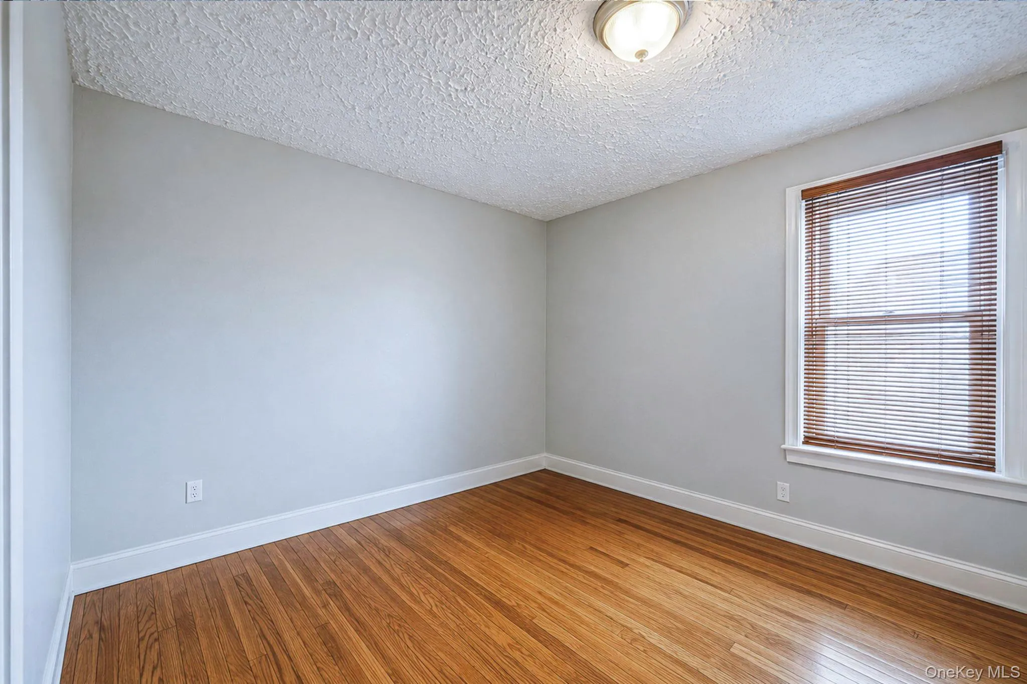 Bonus Room Bonus Room