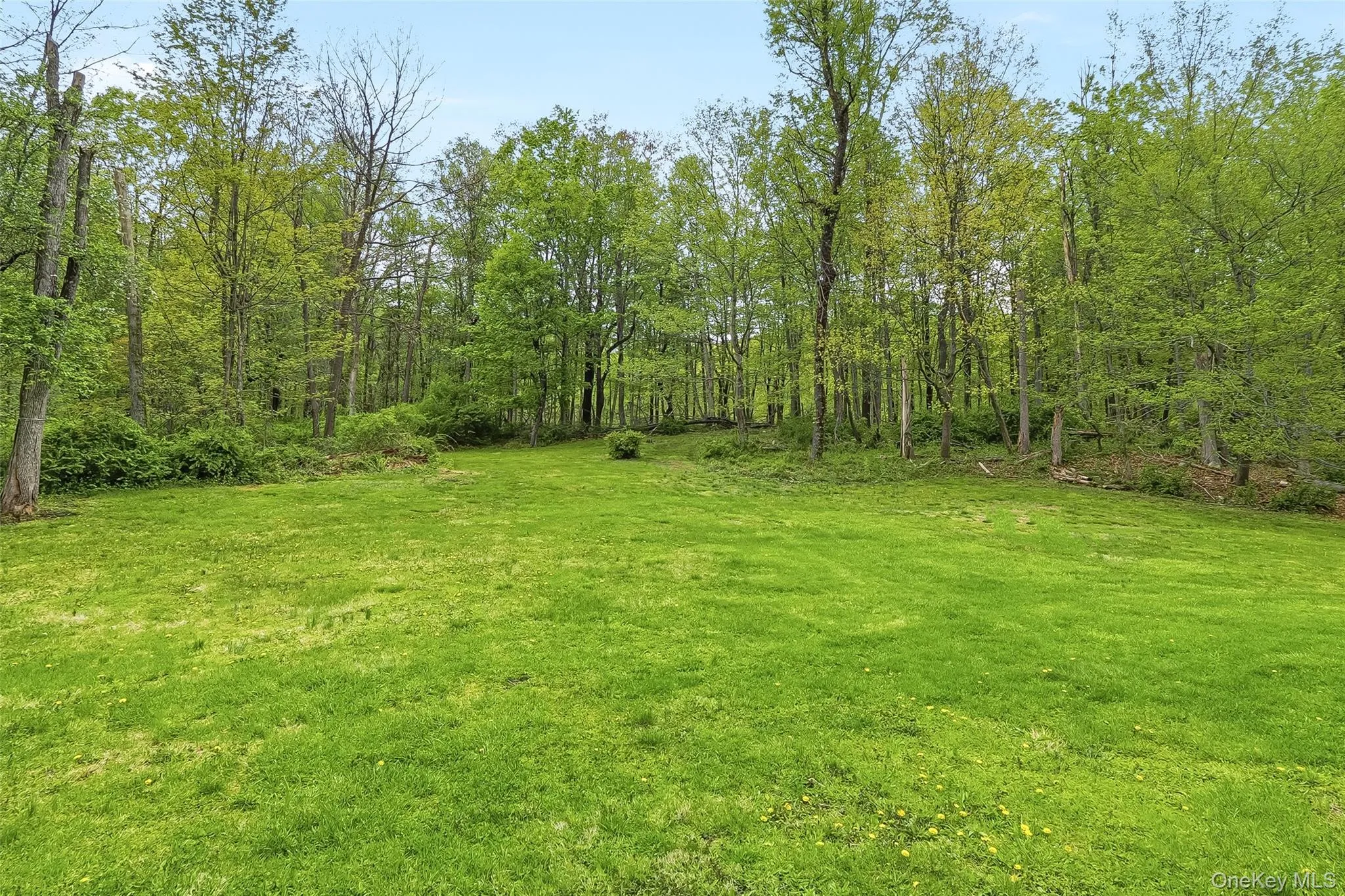 15 Ladentown Road, Ramapo, NY, 4 Bedrooms Bedrooms, 7 Rooms Rooms,1 BathroomBathrooms,Residential Lease,For Rent,Ladentown,0,1000384 15 Ladentown Road, Ramapo, NY, 4 Bedrooms Bedrooms, 7 Rooms Rooms,1 BathroomBathrooms,Residential Lease,For Rent,Ladentown,0,1000384