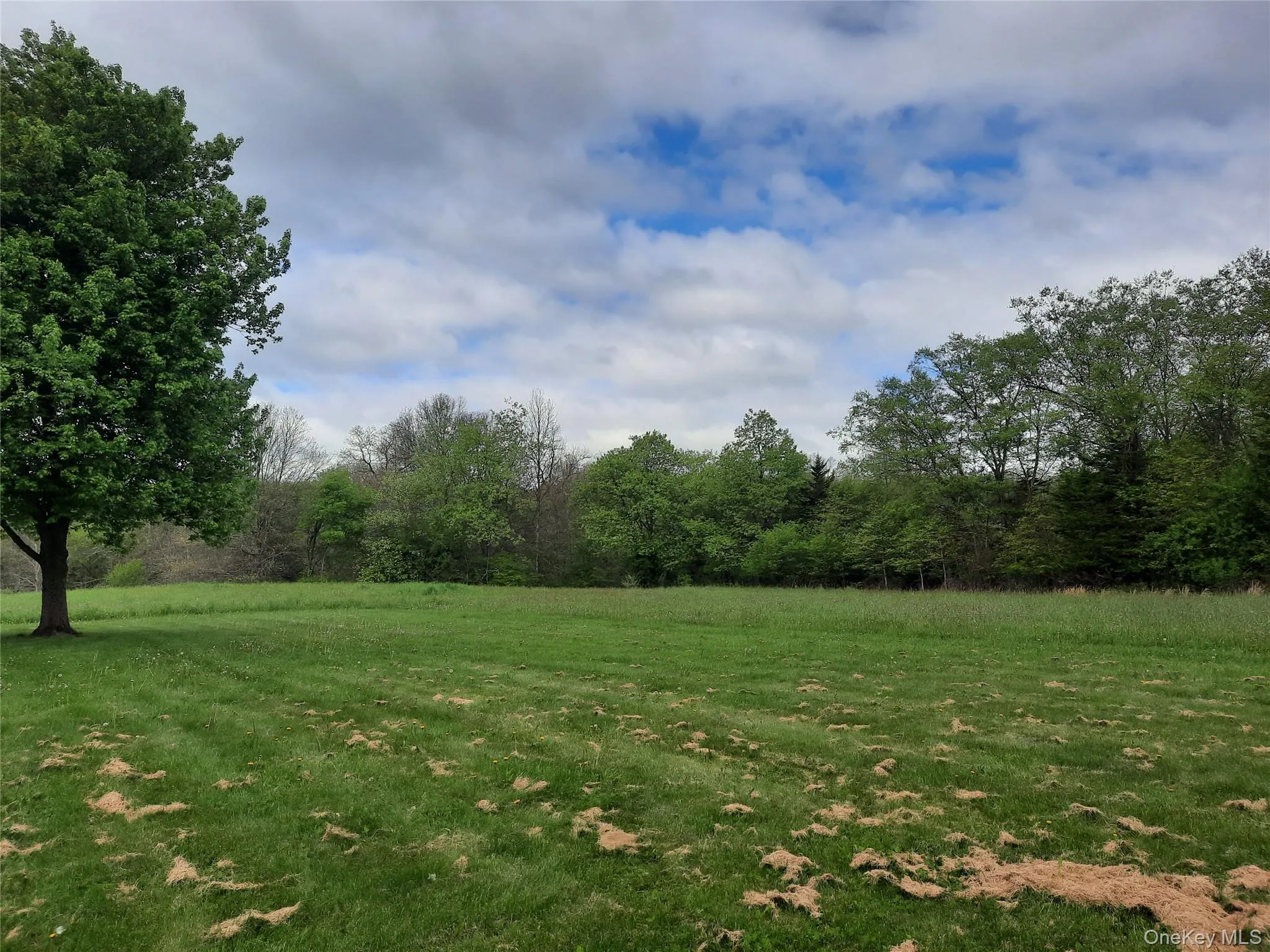 Generous level outdoor yards. Generous level outdoor yards.