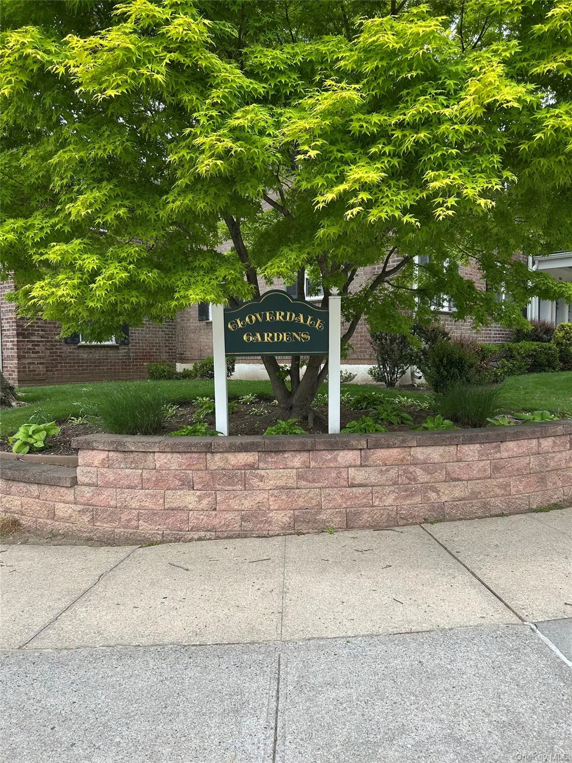 61-55 224 st, New York, NY, 1 Bedroom Bedrooms, 3 Rooms Rooms,1 BathroomBathrooms,Residential,For Rent,224 st,0,1000436 61-55 224 st, New York, NY, 1 Bedroom Bedrooms, 3 Rooms Rooms,1 BathroomBathrooms,Residential,For Rent,224 st,0,1000436