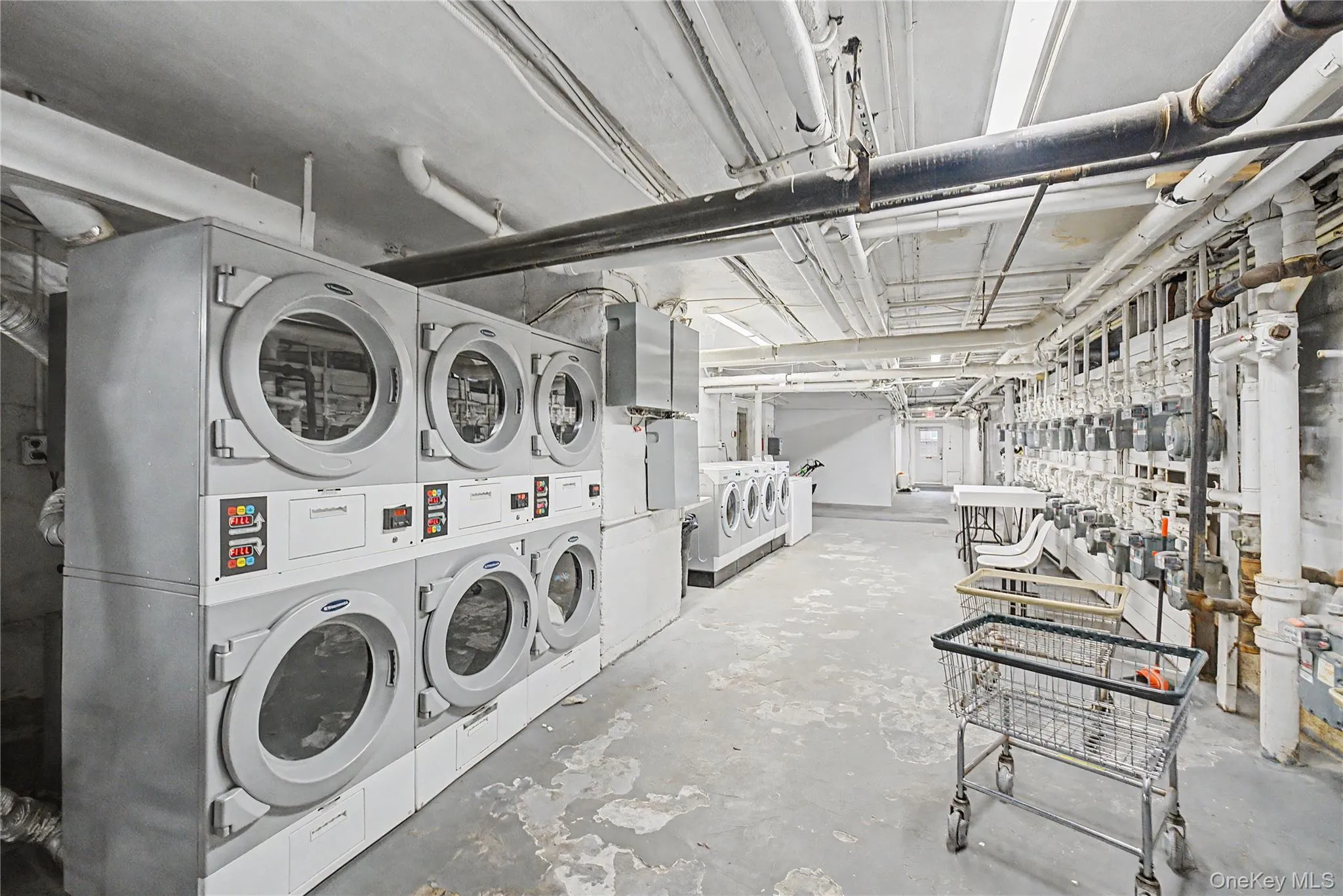 10 Welwyn Road, North Hempstead, NY, 1 Bedroom Bedrooms, 4 Rooms Rooms,1 BathroomBathrooms,Residential,For Rent,Welwyn,0,1000450 10 Welwyn Road, North Hempstead, NY, 1 Bedroom Bedrooms, 4 Rooms Rooms,1 BathroomBathrooms,Residential,For Rent,Welwyn,0,1000450