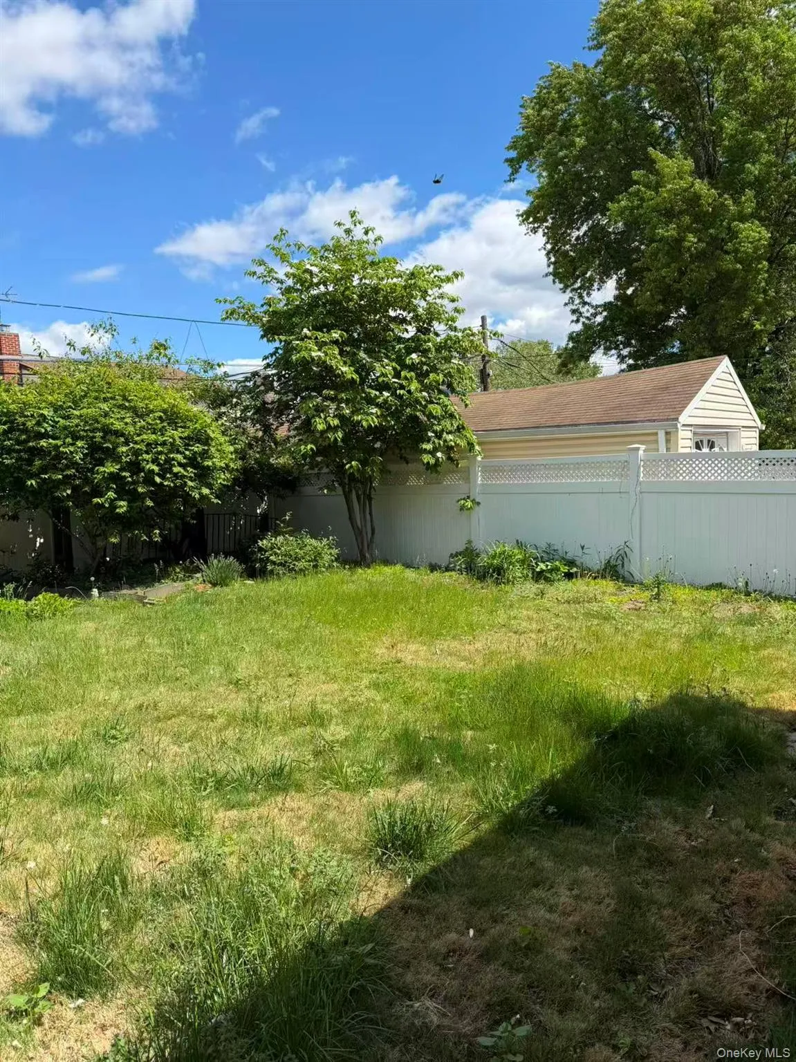 Grassed yard area featuring a white lattice-top fence, mature trees, and a detached structure with siding and a shingle roof Grassed yard area featuring a white lattice-top fence, mature trees, and a detached structure with siding and a shingle roof