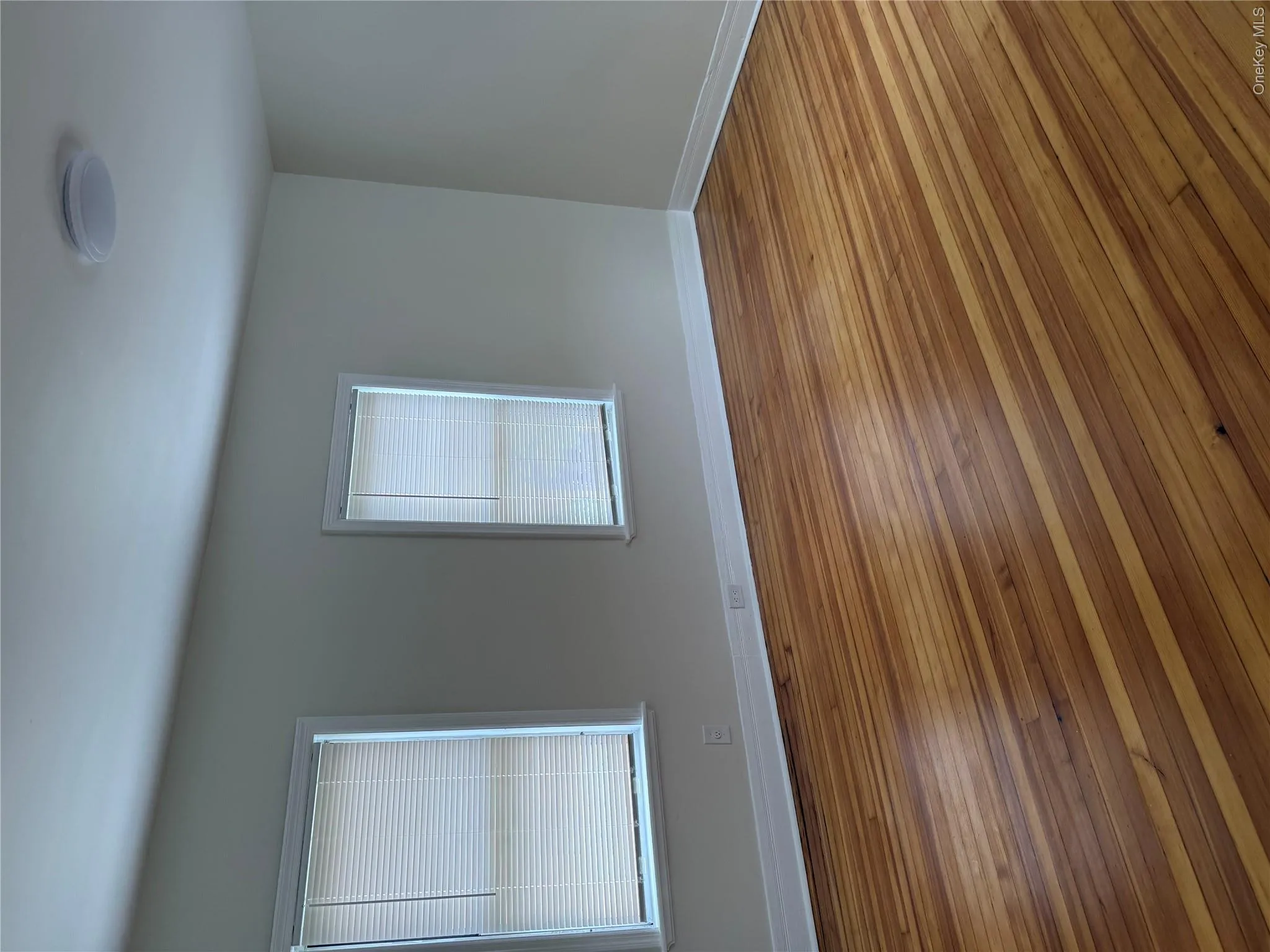 46 Locust Avenue, New Rochelle, NY, 2 Bedrooms Bedrooms, 5 Rooms Rooms,1 BathroomBathrooms,Residential Lease,For Rent,Locust,0,1000514 46 Locust Avenue, New Rochelle, NY, 2 Bedrooms Bedrooms, 5 Rooms Rooms,1 BathroomBathrooms,Residential Lease,For Rent,Locust,0,1000514