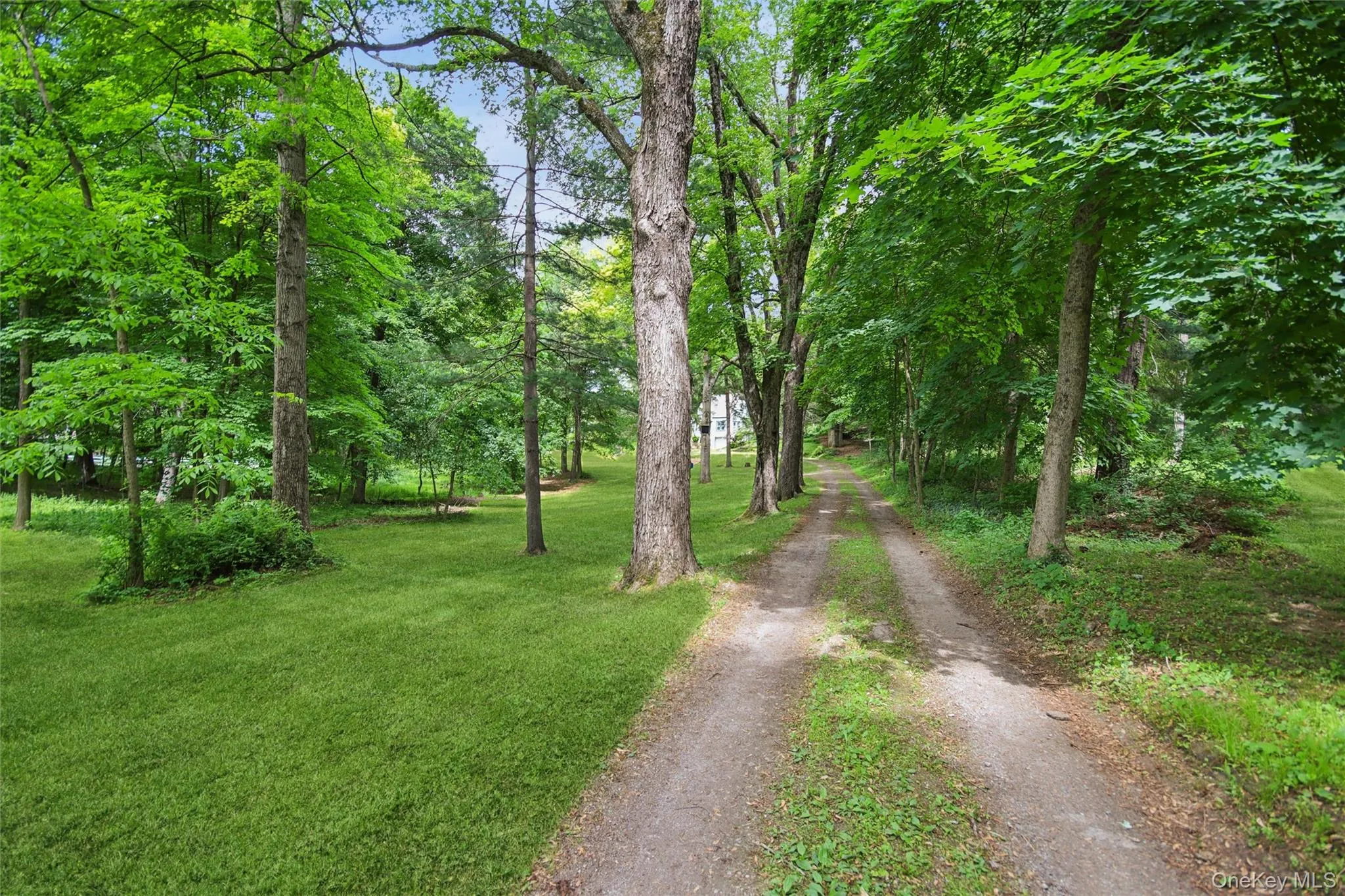 Drive up to the house on a tree lined driveway Drive up to the house on a tree lined driveway