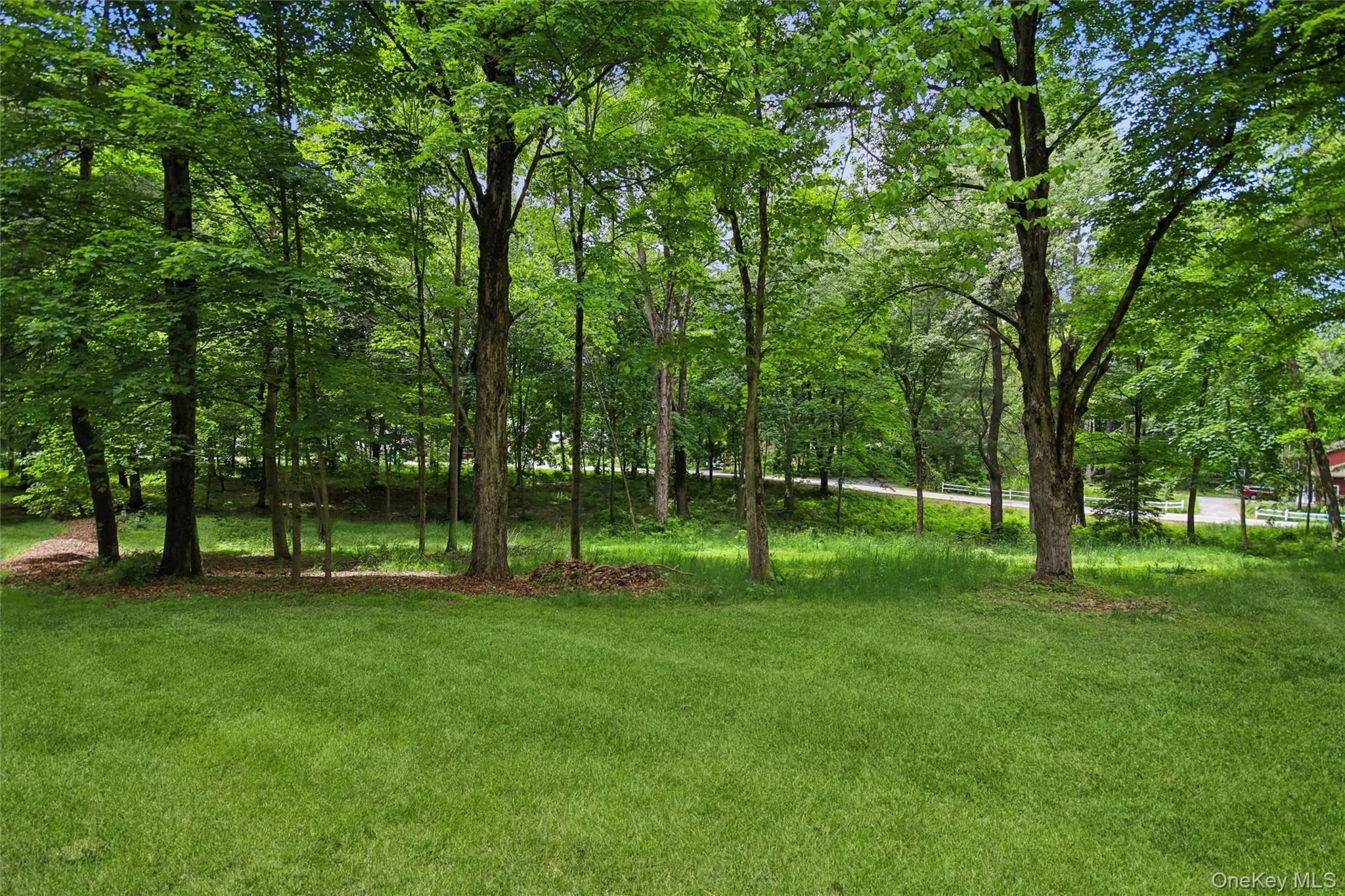 Beautiful wooded property Beautiful wooded property