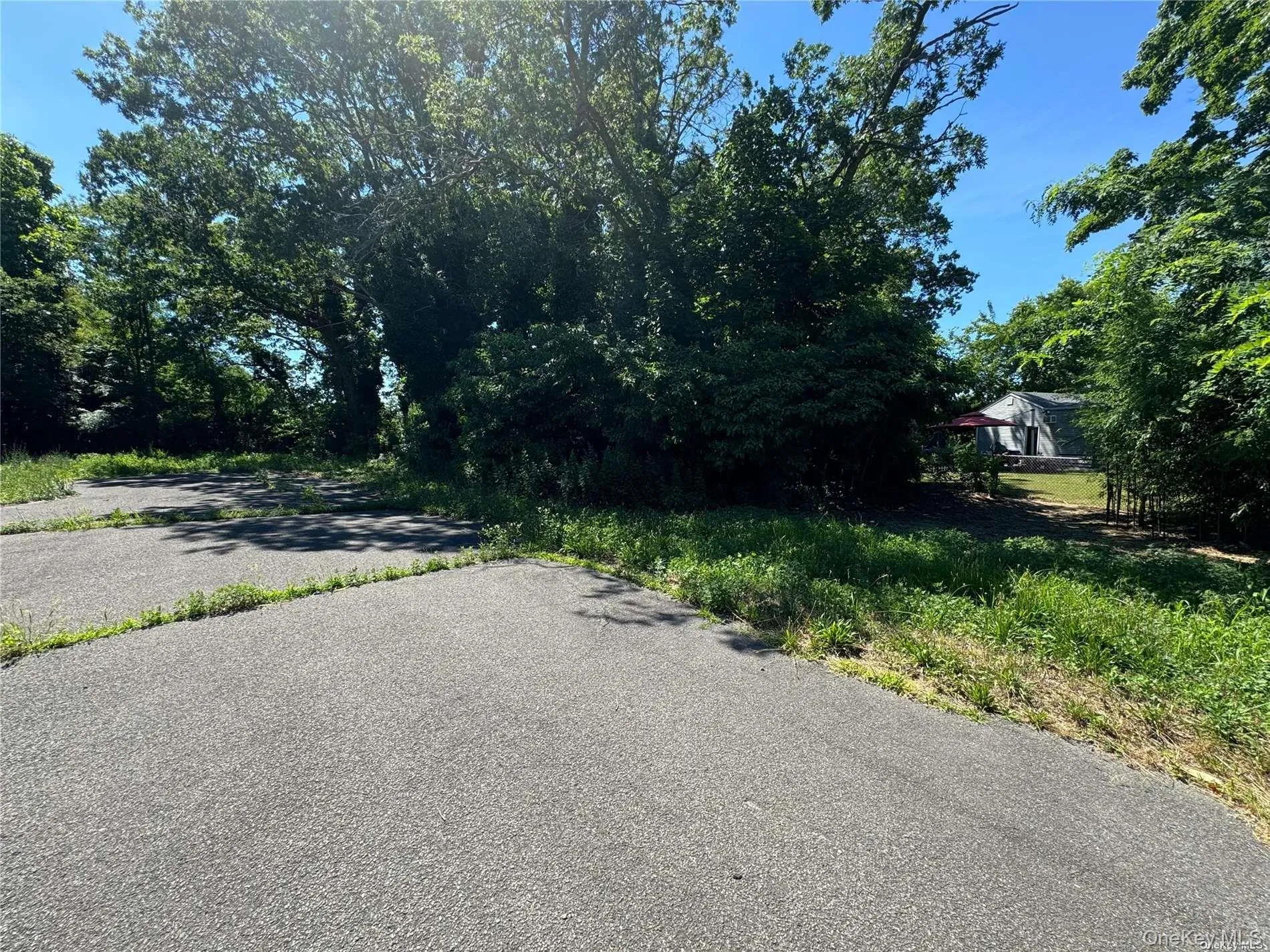 215 Cortland Street, Babylon, NY, ,Land,For Rent,Cortland,0,1000527 215 Cortland Street, Babylon, NY, ,Land,For Rent,Cortland,0,1000527