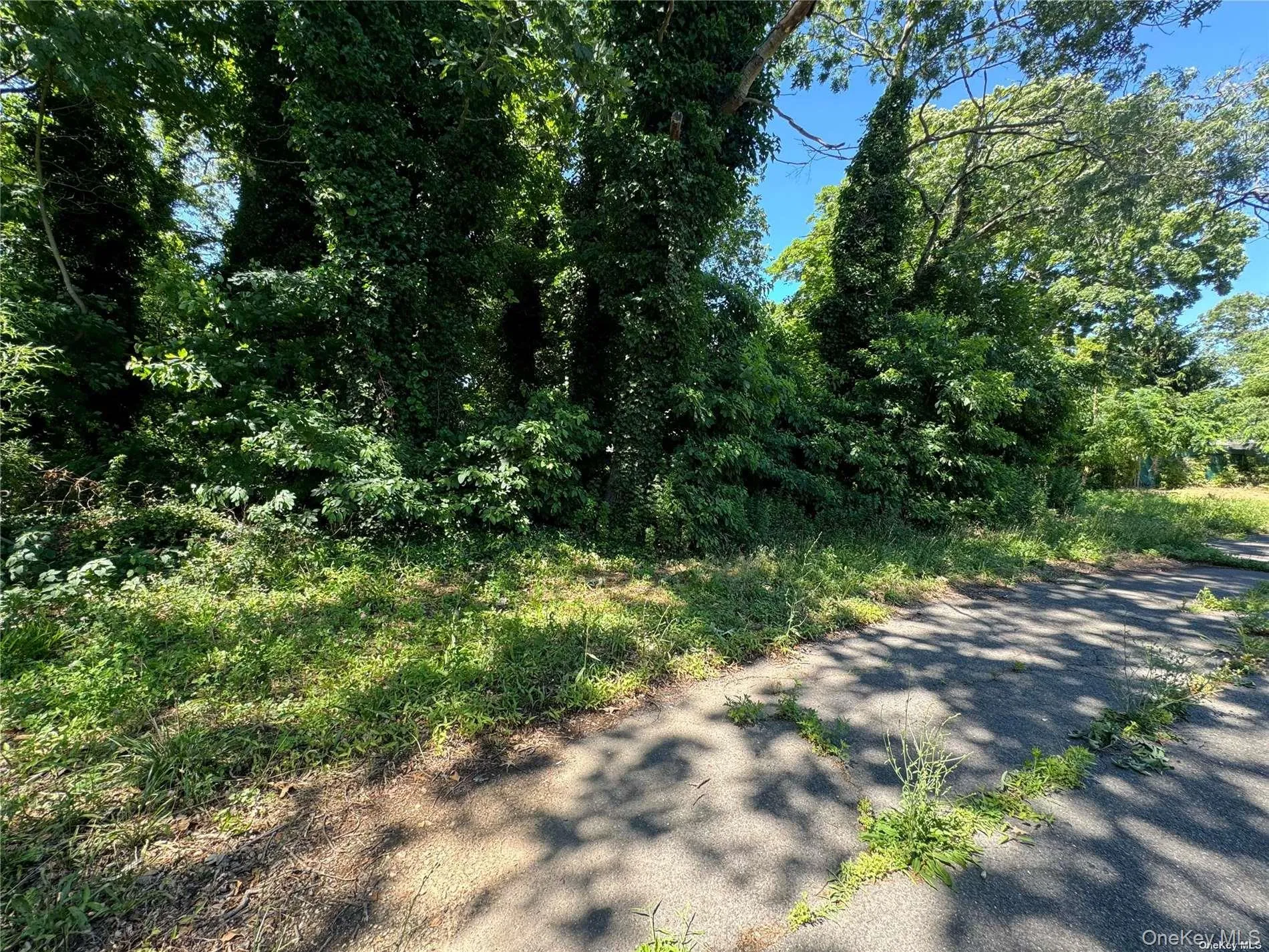 215 Cortland Street, Babylon, NY, ,Land,For Rent,Cortland,0,1000527 215 Cortland Street, Babylon, NY, ,Land,For Rent,Cortland,0,1000527