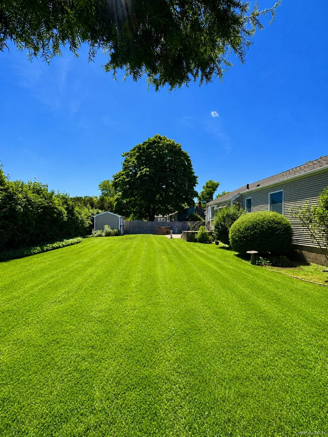 Expansive lawn Expansive lawn