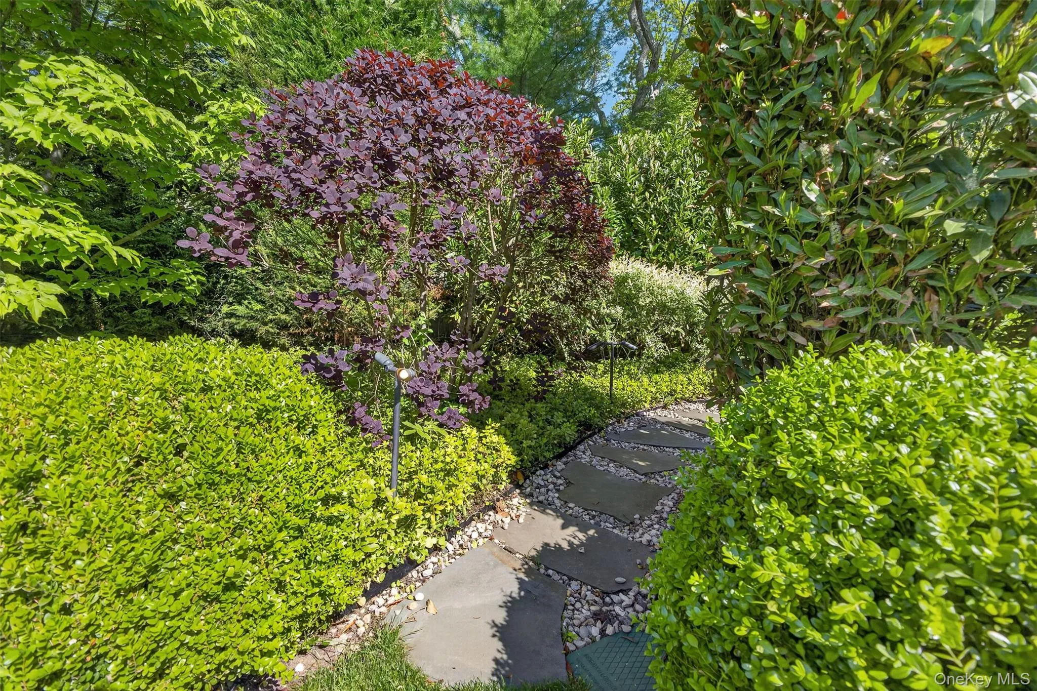 95 Tyrone Drive, East Hampton, NY, 3 Bedrooms Bedrooms, 5 Rooms Rooms,2 BathroomsBathrooms,Residential,For Rent,Tyrone,0,1000541 95 Tyrone Drive, East Hampton, NY, 3 Bedrooms Bedrooms, 5 Rooms Rooms,2 BathroomsBathrooms,Residential,For Rent,Tyrone,0,1000541