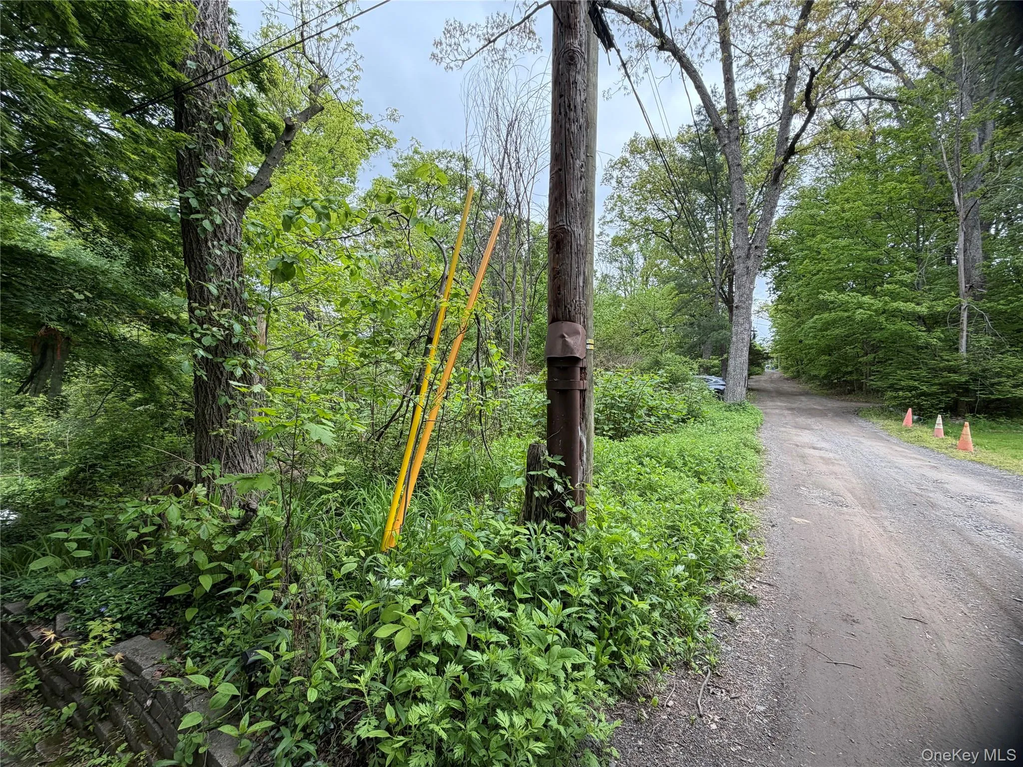 48 Paradise Trail, Blooming Grove, NY, ,Land,For Rent,Paradise,0,1000544 48 Paradise Trail, Blooming Grove, NY, ,Land,For Rent,Paradise,0,1000544
