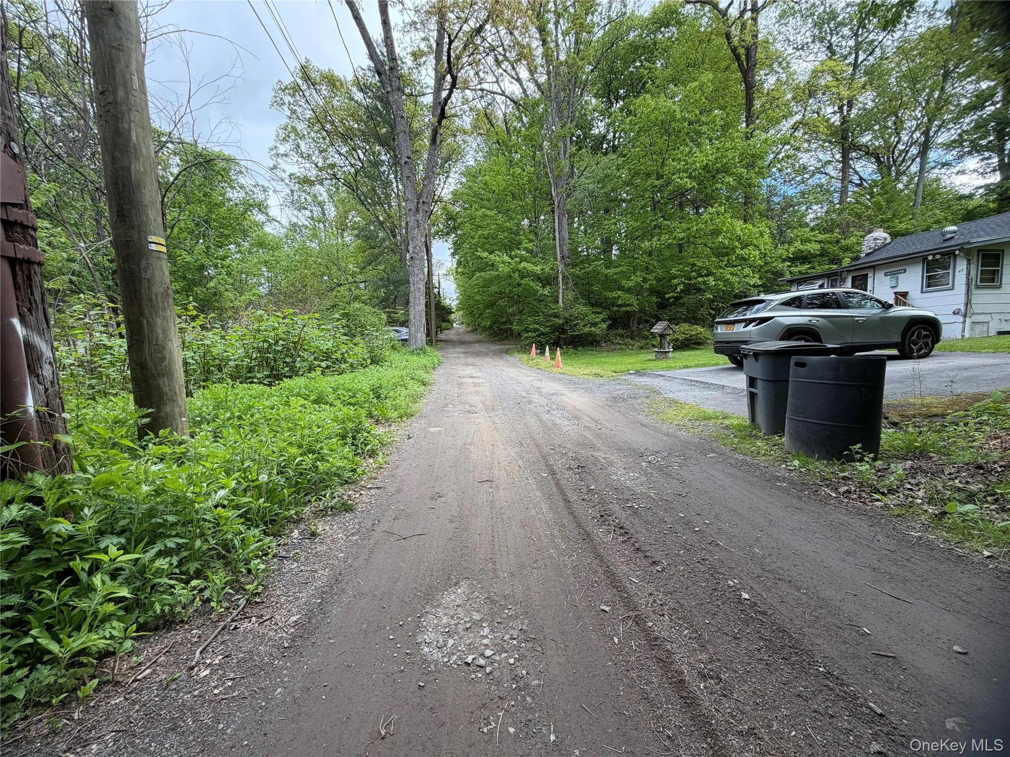 48 Paradise Trail, Blooming Grove, NY, ,Land,For Rent,Paradise,0,1000544 48 Paradise Trail, Blooming Grove, NY, ,Land,For Rent,Paradise,0,1000544