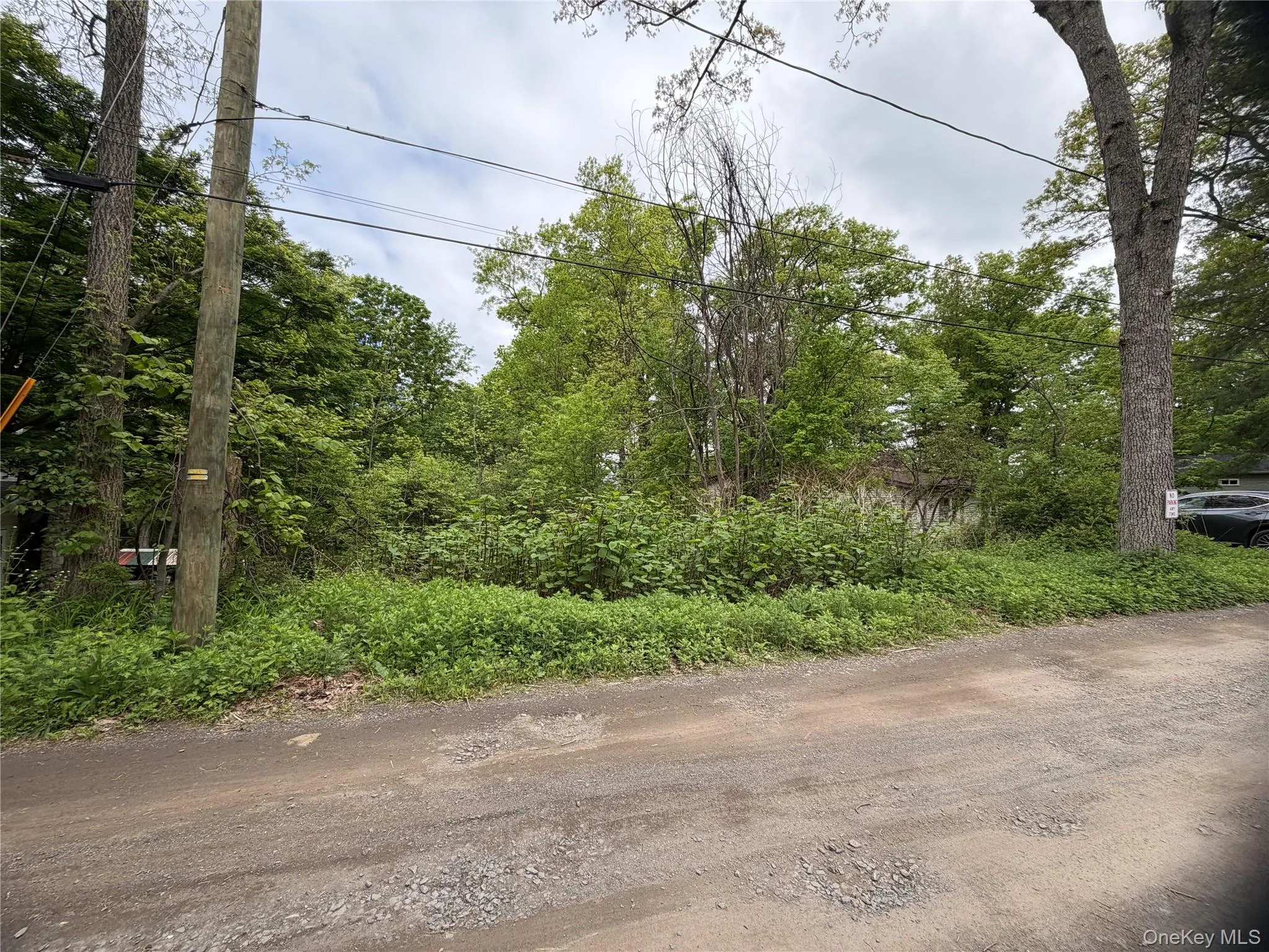 48 Paradise Trail, Blooming Grove, NY, ,Land,For Rent,Paradise,0,1000569 48 Paradise Trail, Blooming Grove, NY, ,Land,For Rent,Paradise,0,1000569