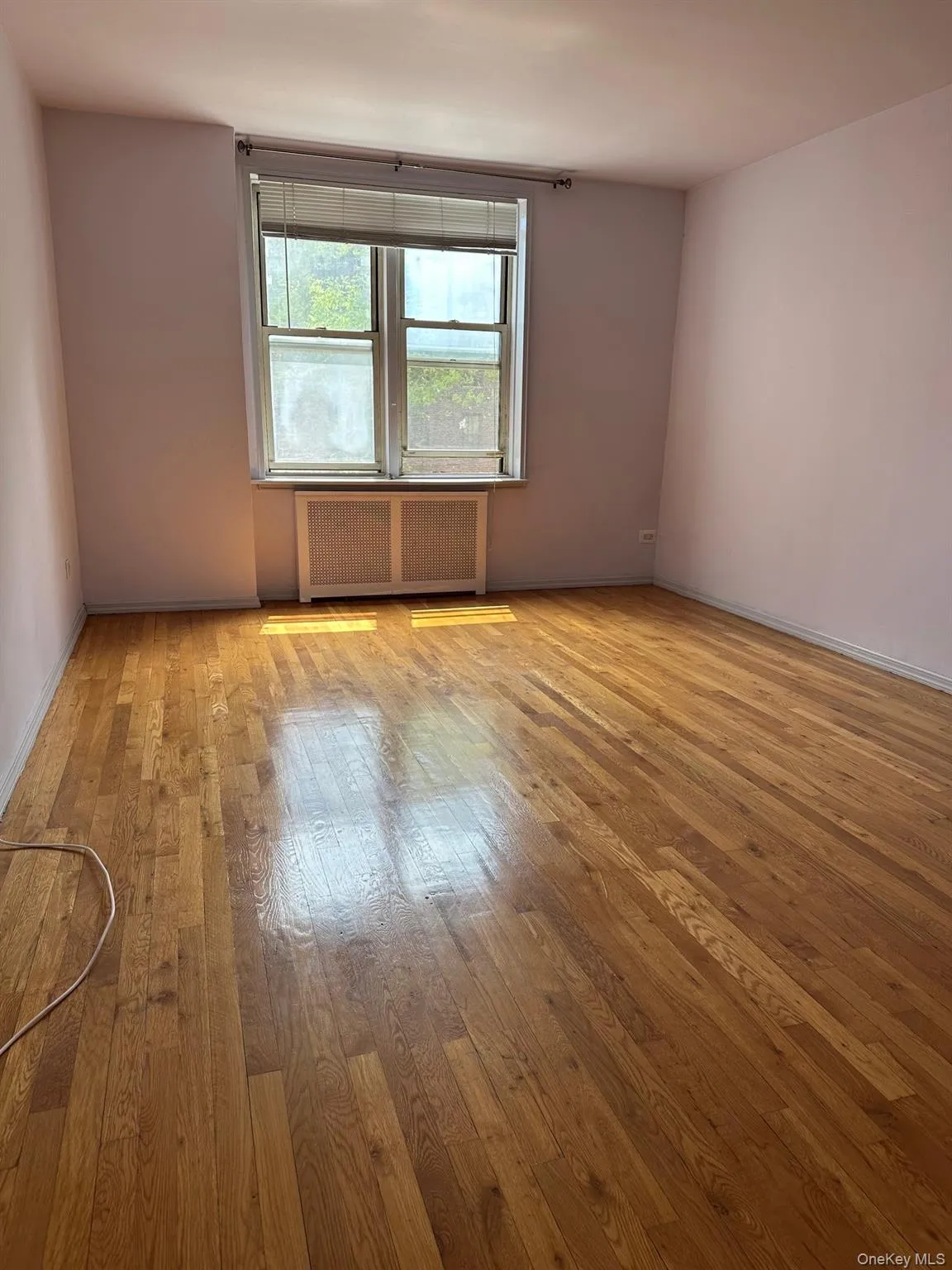 67-25 Dartmouth Street, New York, NY, 1 Bedroom Bedrooms, 3 Rooms Rooms,1 BathroomBathrooms,Residential Sale,For Rent,Dartmouth,0,1000581 67-25 Dartmouth Street, New York, NY, 1 Bedroom Bedrooms, 3 Rooms Rooms,1 BathroomBathrooms,Residential Sale,For Rent,Dartmouth,0,1000581