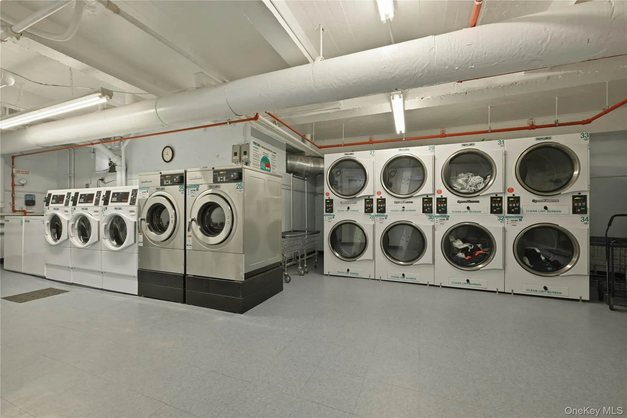 226-26 Union Turnpike, New York, NY, 1 Bedroom Bedrooms, 4 Rooms Rooms,1 BathroomBathrooms,Residential,For Rent,Union,0,1000603 226-26 Union Turnpike, New York, NY, 1 Bedroom Bedrooms, 4 Rooms Rooms,1 BathroomBathrooms,Residential,For Rent,Union,0,1000603
