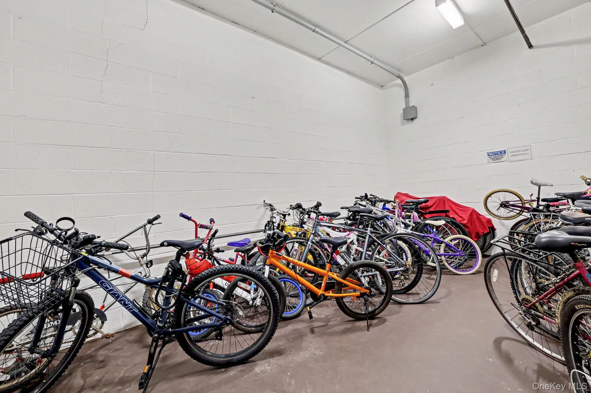 Bike storage. Bike Sundays anyone? Bike storage. Bike Sundays anyone?