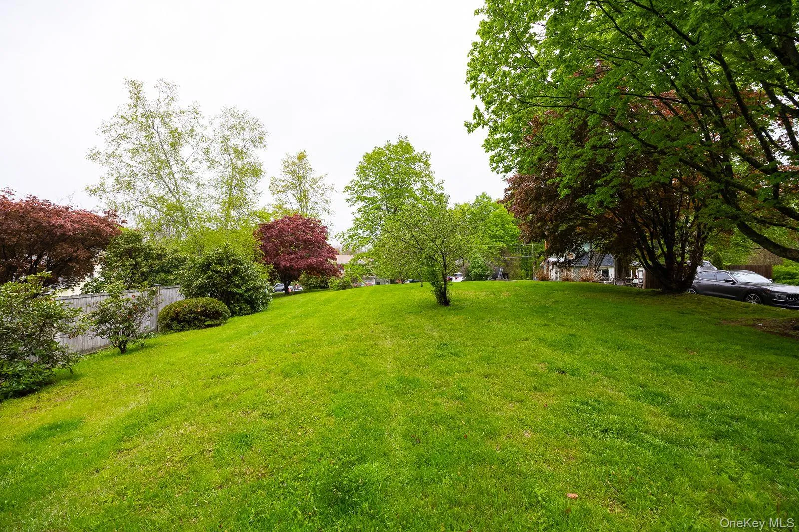 Front lawn area Front lawn area