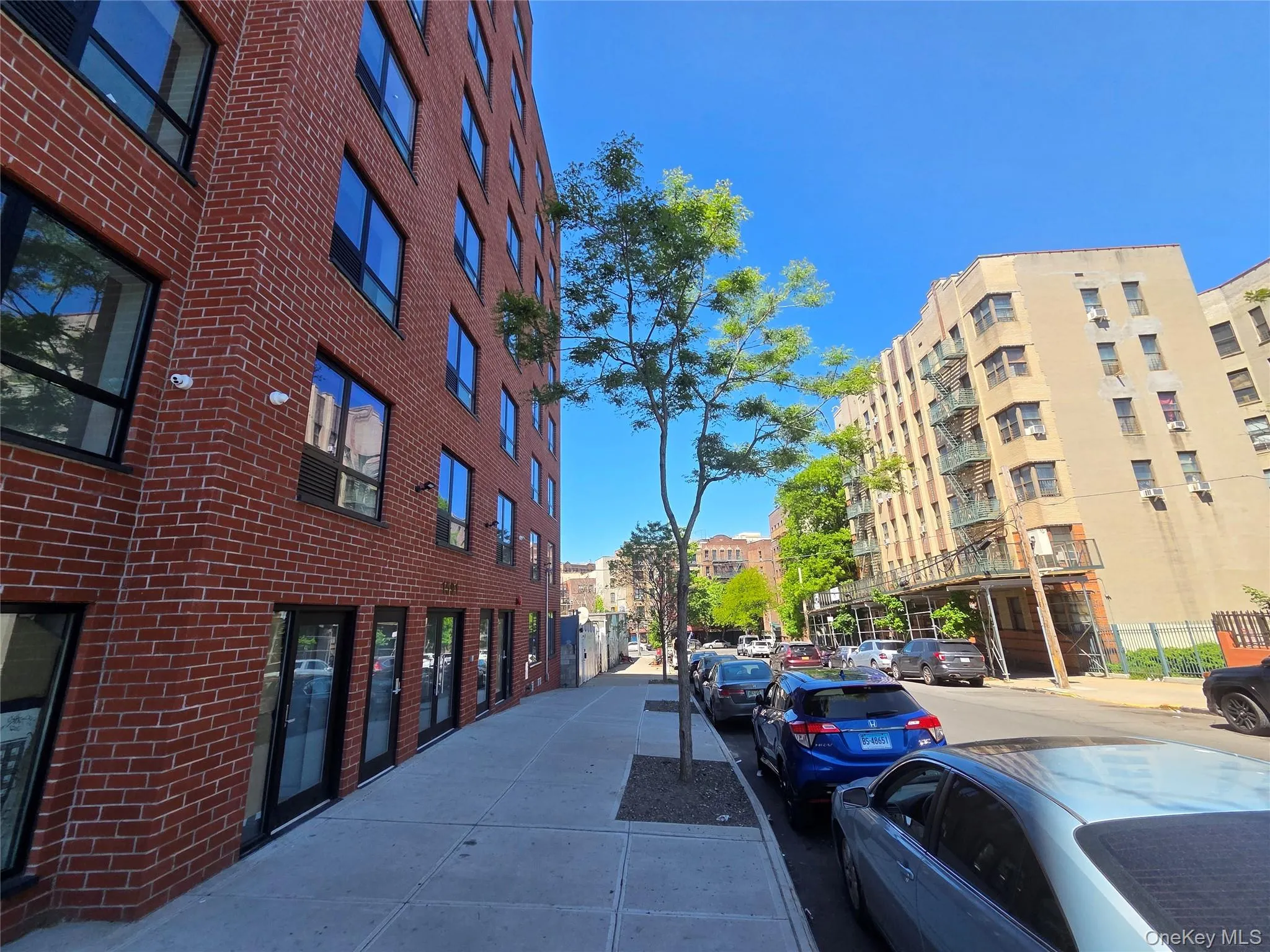 1591 Jesup Avenue, New York, NY, ,Commercial Lease,For Rent,Jesup,0,1000634 1591 Jesup Avenue, New York, NY, ,Commercial Lease,For Rent,Jesup,0,1000634