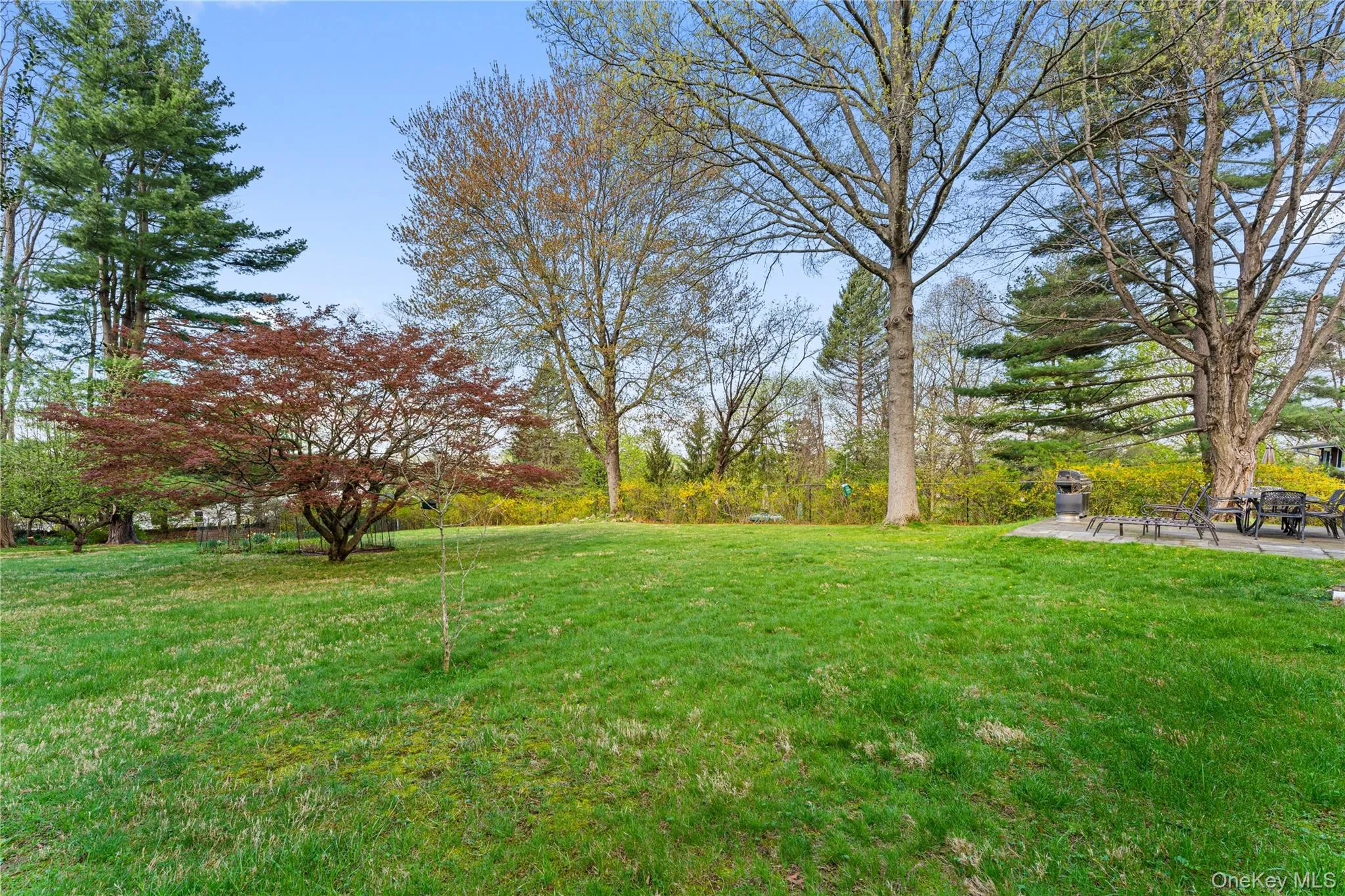 Expansive backyard Expansive backyard
