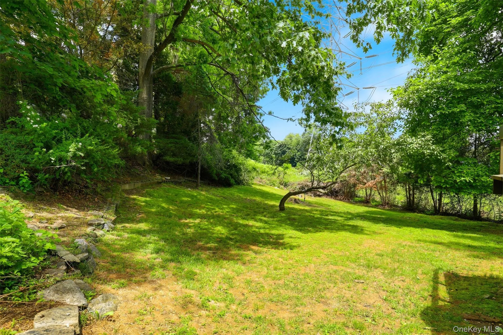 Expansive green lawn surrounded by mature trees and natural landscaping Expansive green lawn surrounded by mature trees and natural landscaping