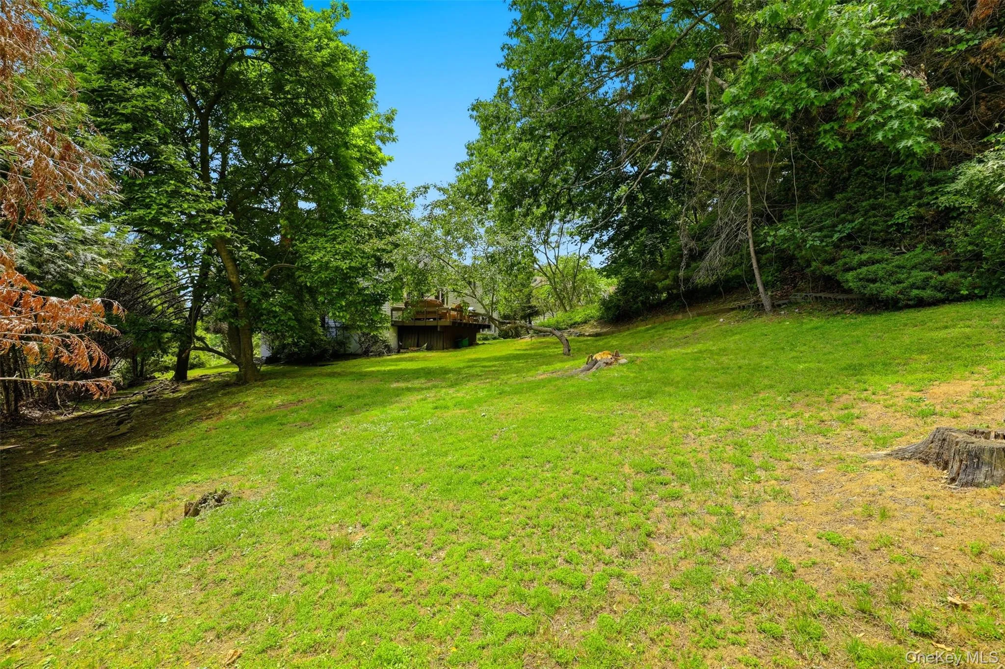 Expansive grassy lawn surrounded by mature trees, featuring a wooden deck structure Expansive grassy lawn surrounded by mature trees, featuring a wooden deck structure