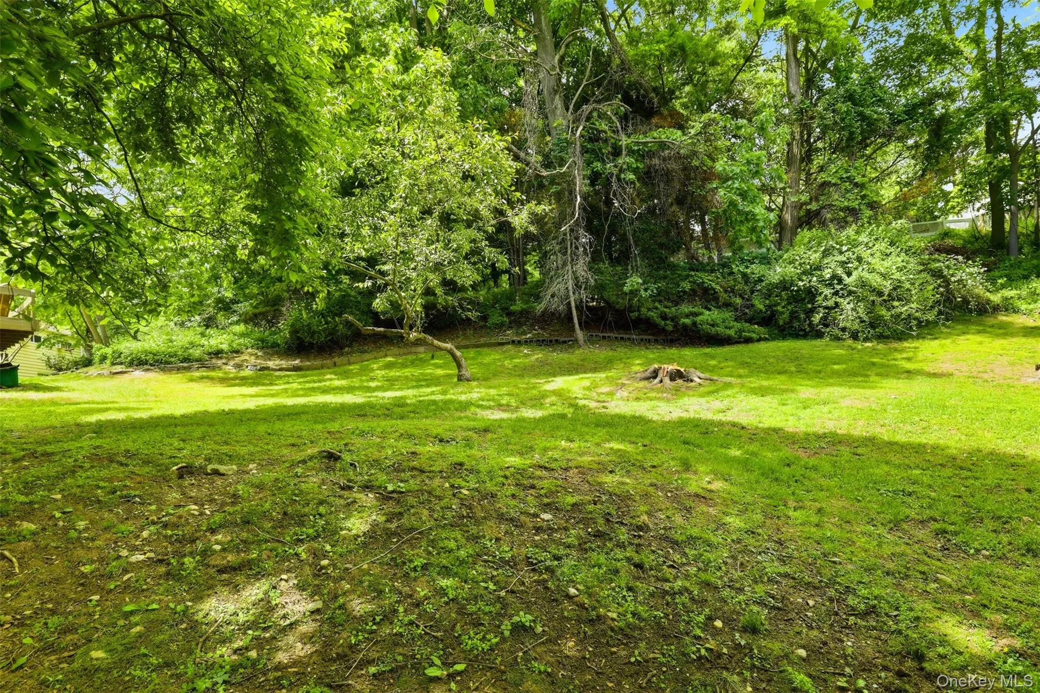 Expansive green yard with mature trees and natural landscaping Expansive green yard with mature trees and natural landscaping
