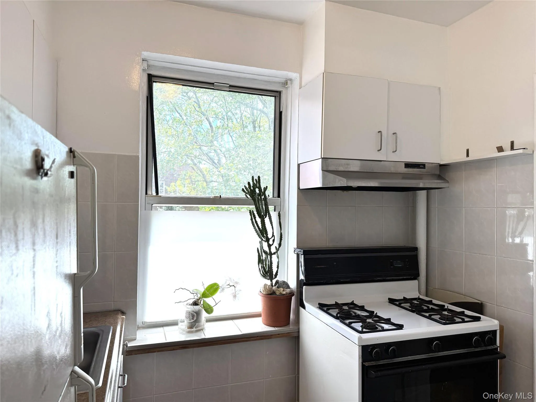 141-24 78th Road, New York, NY, 1 Bedroom Bedrooms, 4 Rooms Rooms,1 BathroomBathrooms,Residential,For Rent,78th,0,1000691 141-24 78th Road, New York, NY, 1 Bedroom Bedrooms, 4 Rooms Rooms,1 BathroomBathrooms,Residential,For Rent,78th,0,1000691