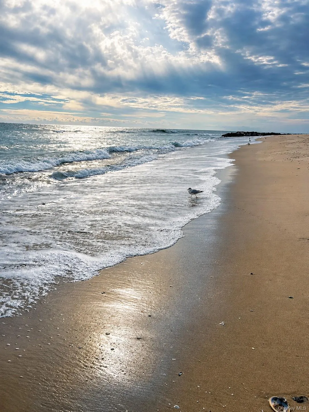 Expansive sandy beach Expansive sandy beach