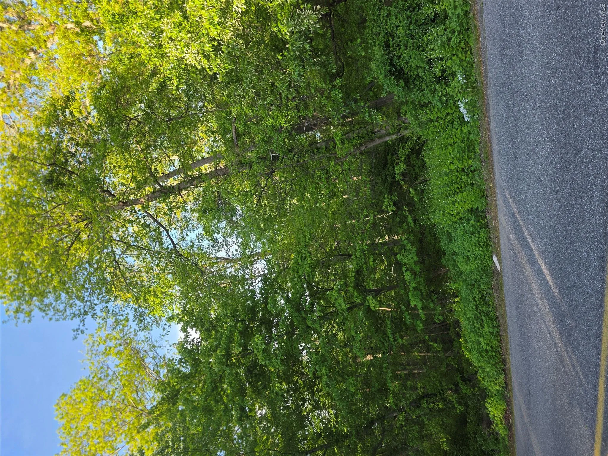 122 Archer Rd, Carmel, NY, ,Land,For Rent,122 Archer Rd,0,1000734 122 Archer Rd, Carmel, NY, ,Land,For Rent,122 Archer Rd,0,1000734