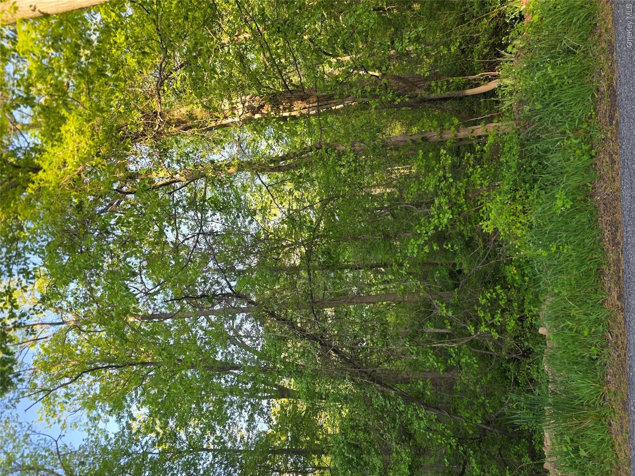 122 Archer Rd, Carmel, NY, ,Land,For Rent,122 Archer Rd,0,1000734 122 Archer Rd, Carmel, NY, ,Land,For Rent,122 Archer Rd,0,1000734