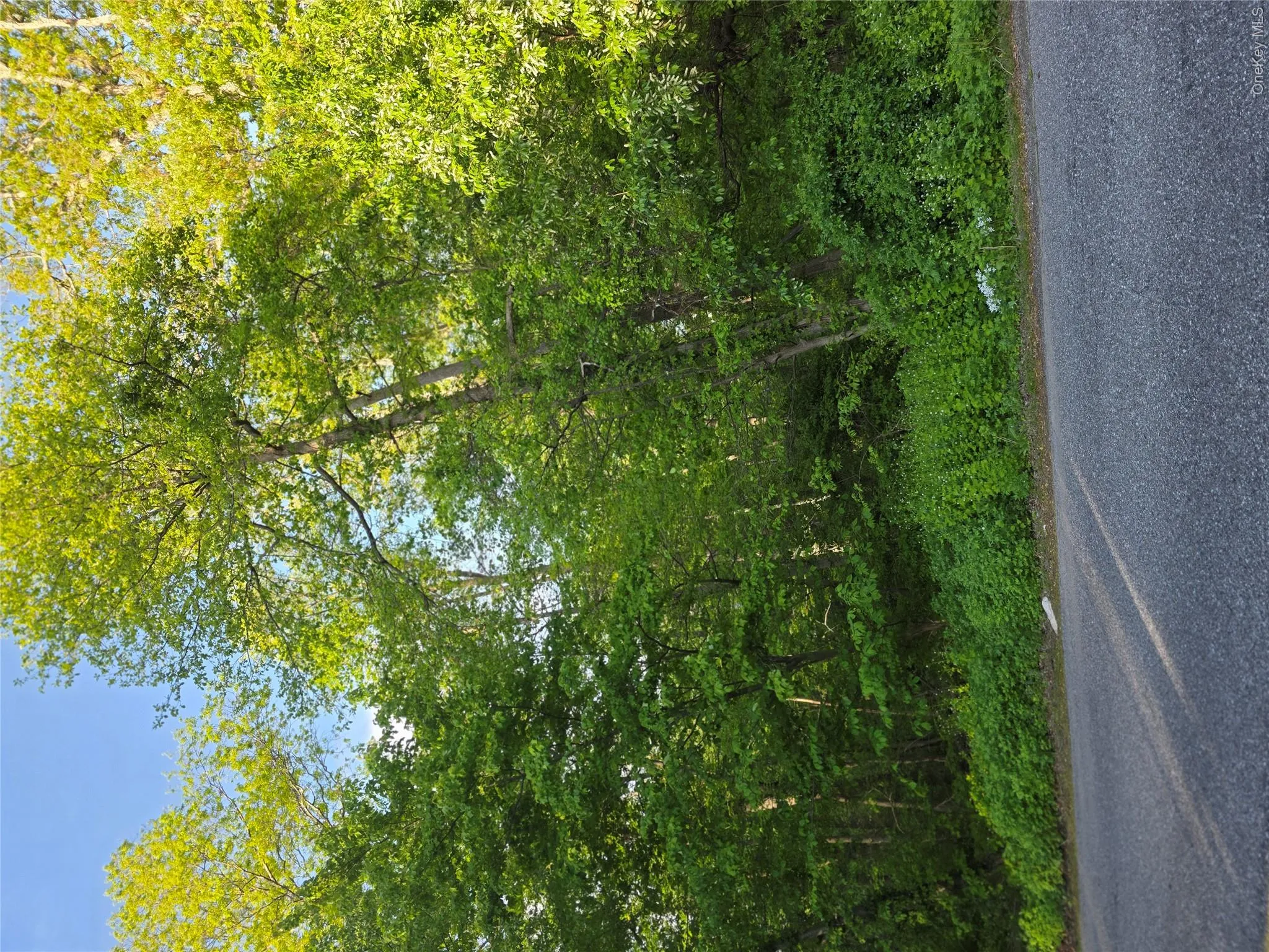 122 Archer Rd, Carmel, NY, ,Land,For Rent,122 Archer Rd,0,1000734 122 Archer Rd, Carmel, NY, ,Land,For Rent,122 Archer Rd,0,1000734