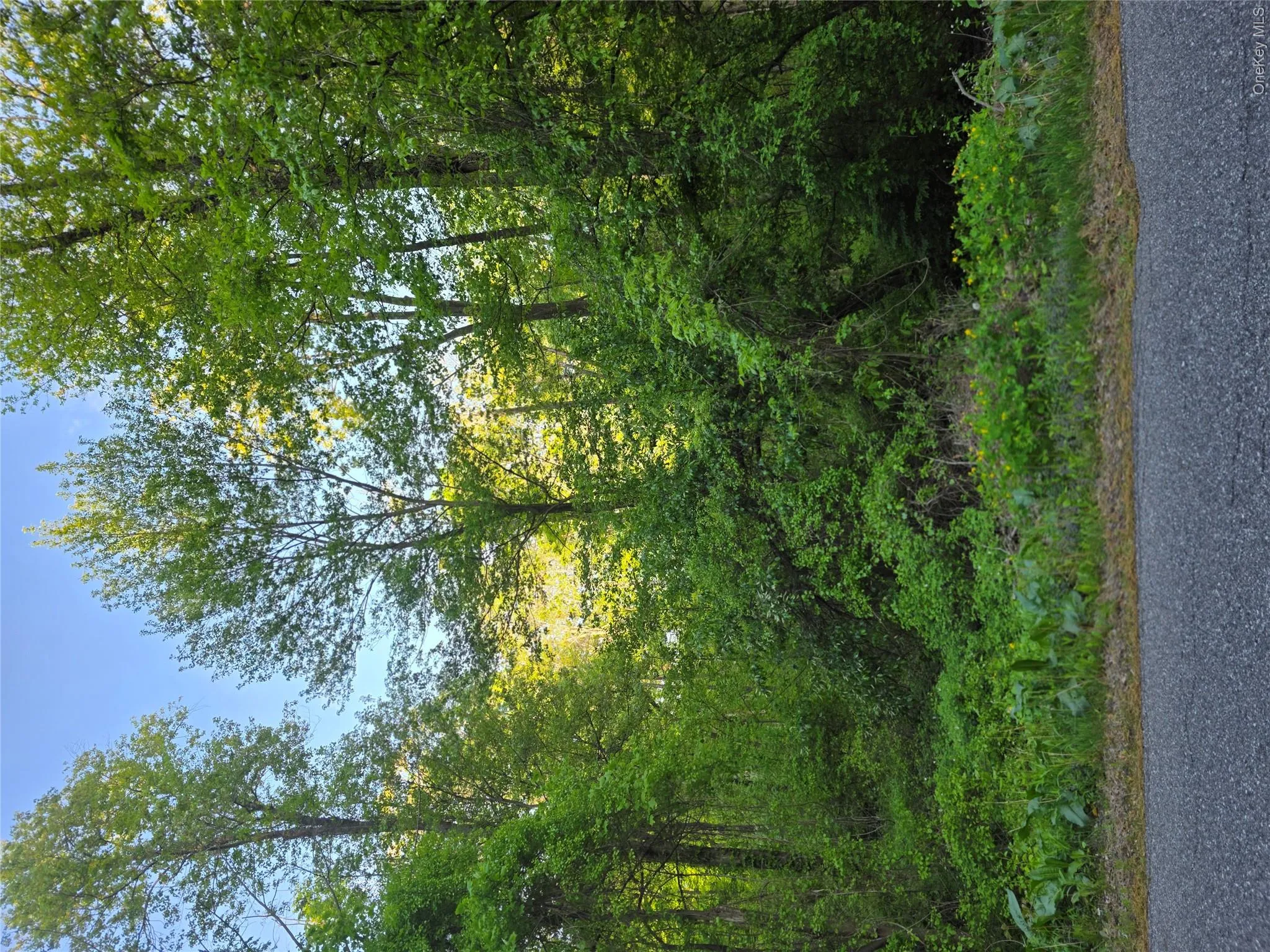 122 Archer Rd, Carmel, NY, ,Land,For Rent,122 Archer Rd,0,1000734 122 Archer Rd, Carmel, NY, ,Land,For Rent,122 Archer Rd,0,1000734