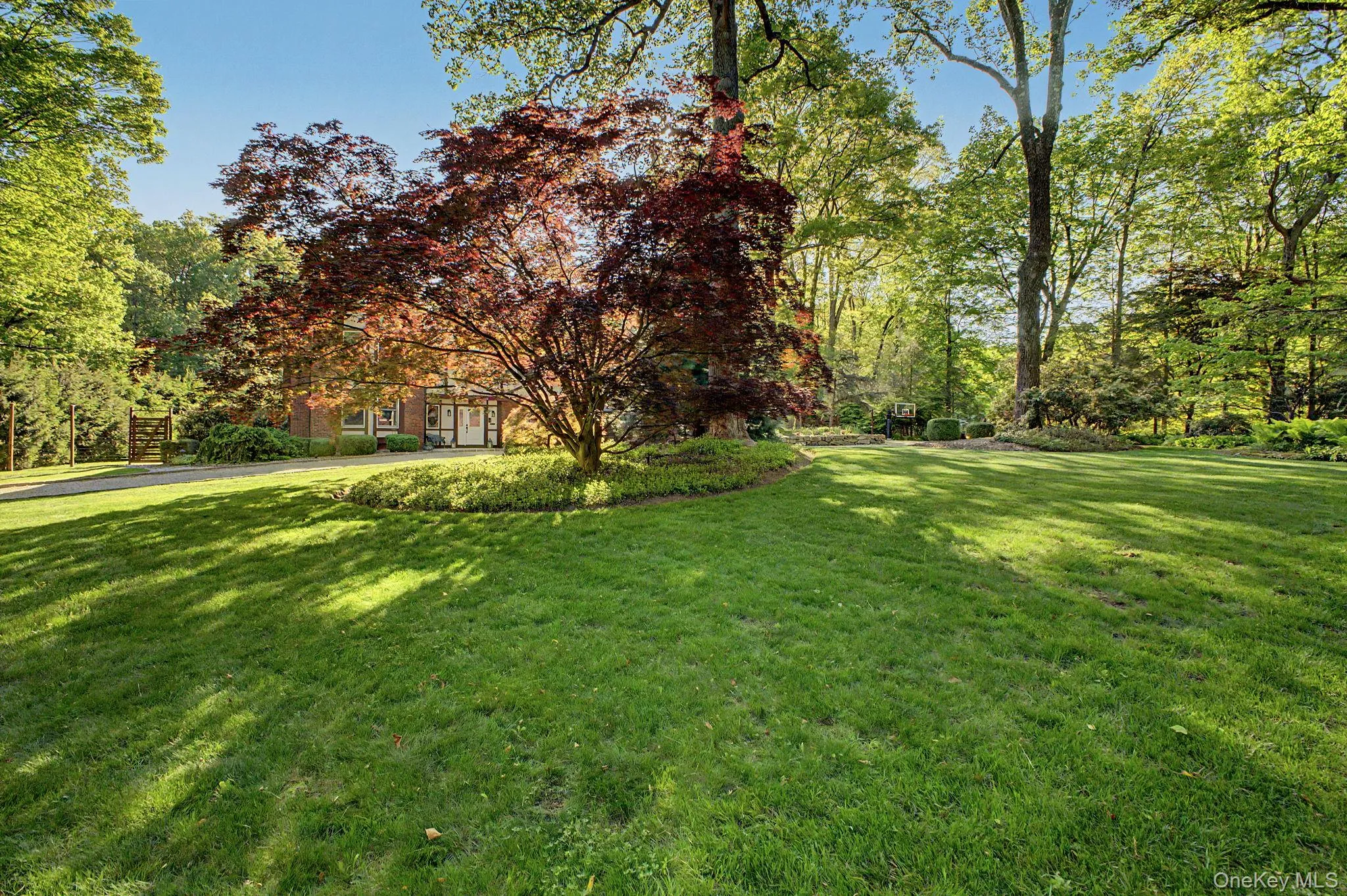 Front Lawn Front Lawn