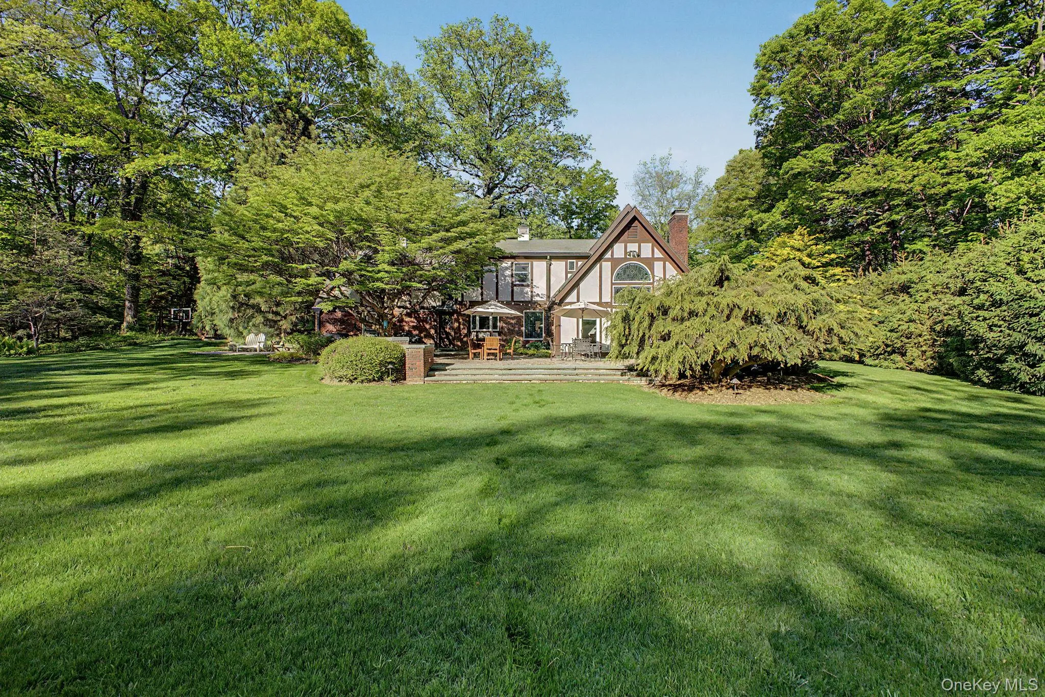 Flat expansive backyard Flat expansive backyard