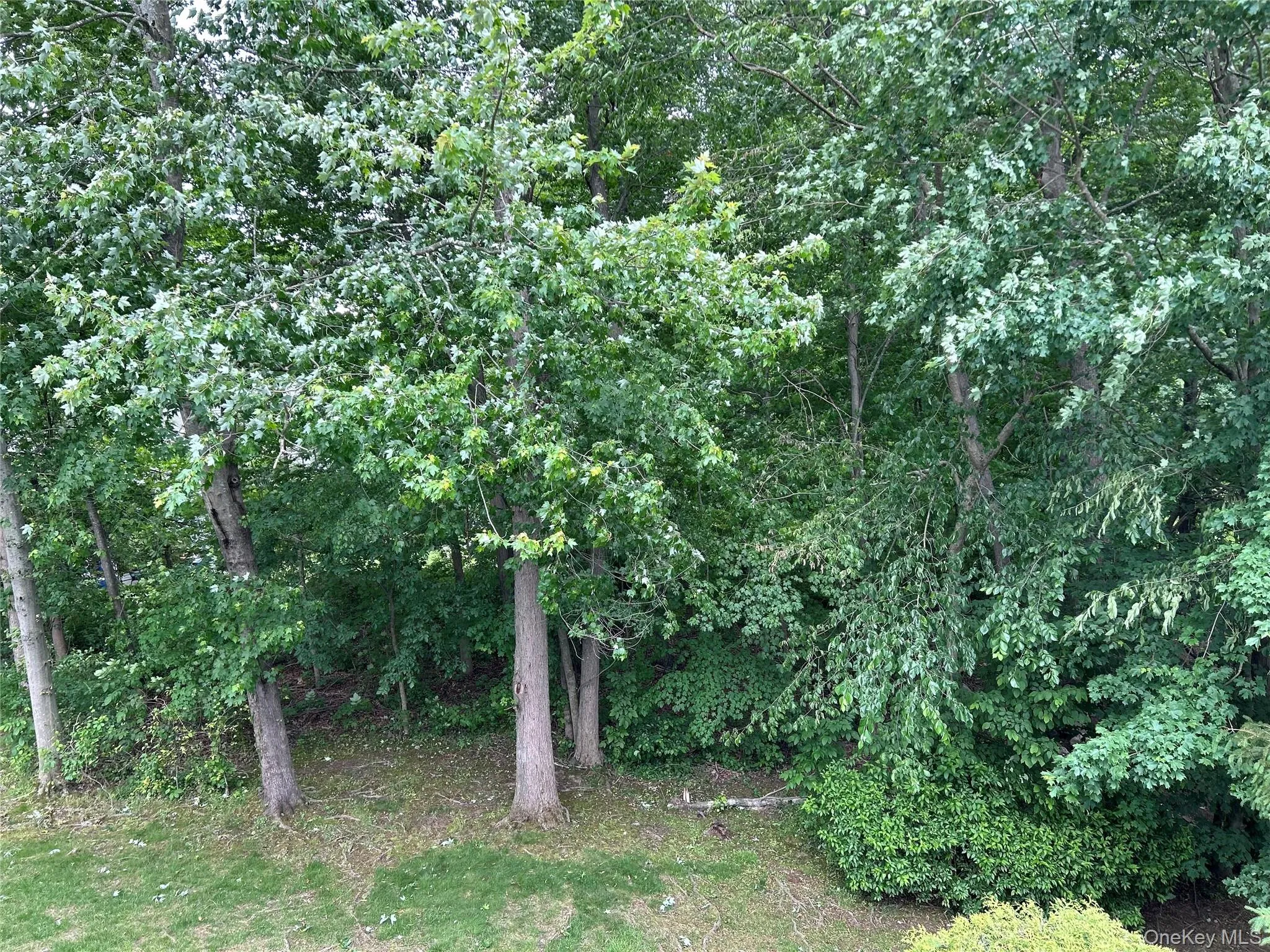 Beautiful, peaceful view from deck Beautiful, peaceful view from deck