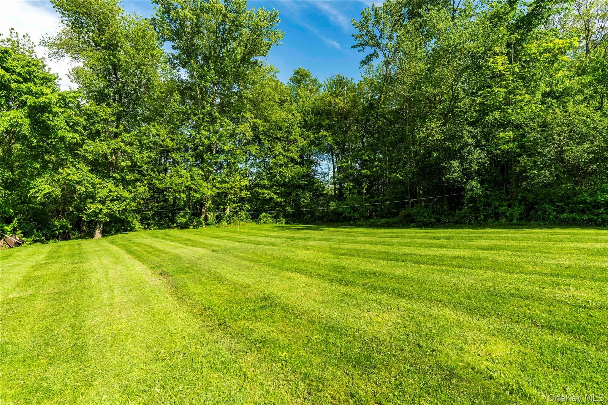58 Degarmo Hills Road, Wappinger, NY, 3 Bedrooms Bedrooms, 7 Rooms Rooms,1 BathroomBathrooms,Residential,For Rent,Degarmo Hills,0,1000791 58 Degarmo Hills Road, Wappinger, NY, 3 Bedrooms Bedrooms, 7 Rooms Rooms,1 BathroomBathrooms,Residential,For Rent,Degarmo Hills,0,1000791
