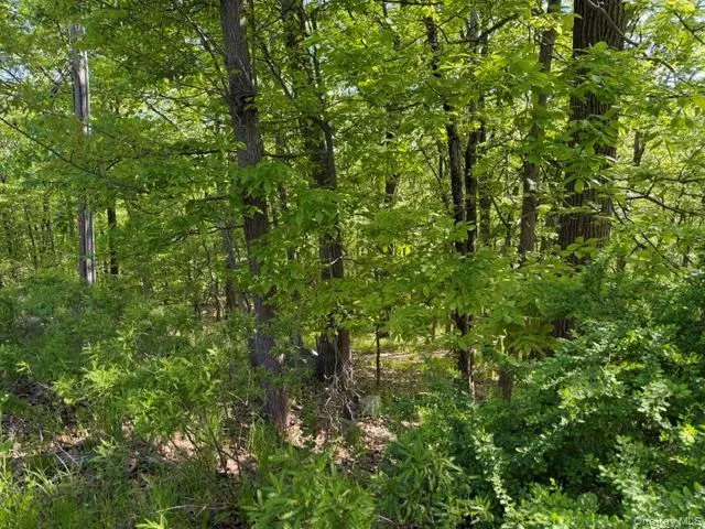 27 Council Crest Road, Ramapo, NY, ,Land,For Rent,Council Crest,0,1000792 27 Council Crest Road, Ramapo, NY, ,Land,For Rent,Council Crest,0,1000792